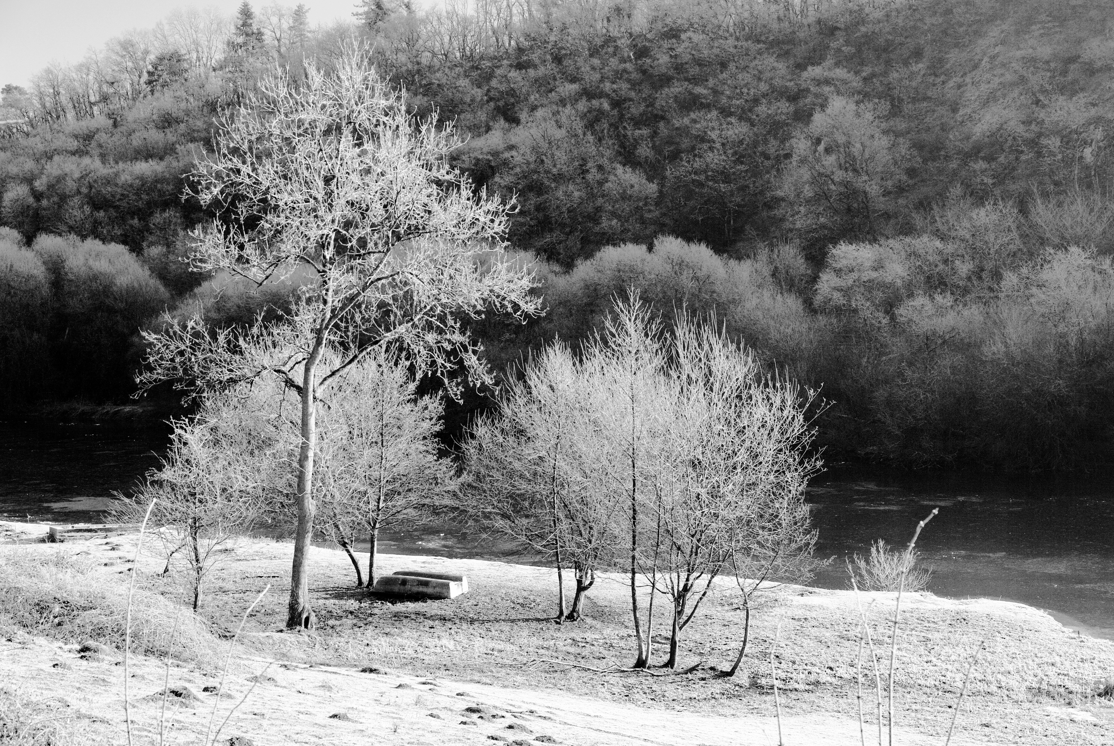 Froidure Hivernale 001