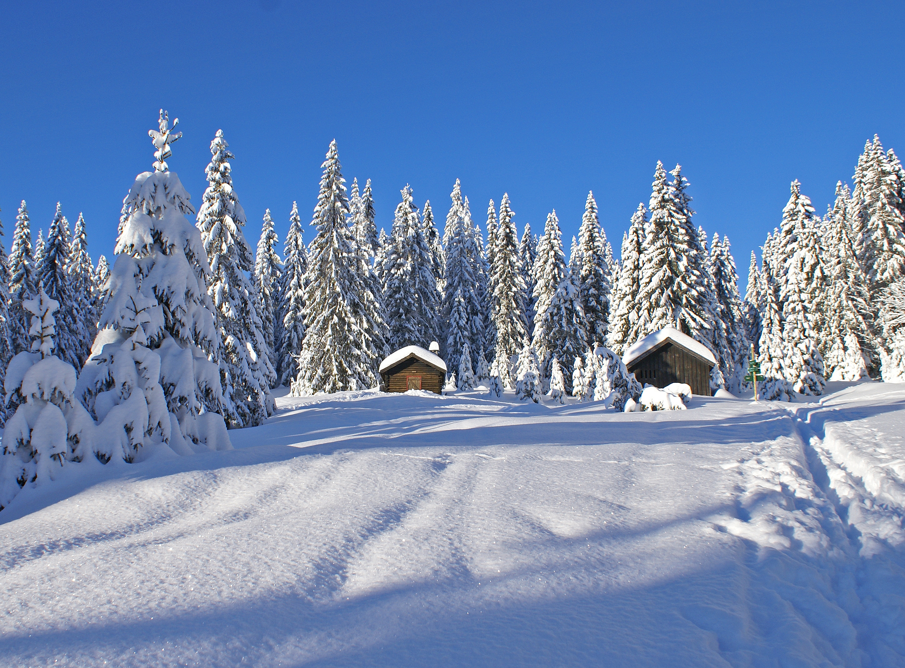 From Vestmarka (3312981775)