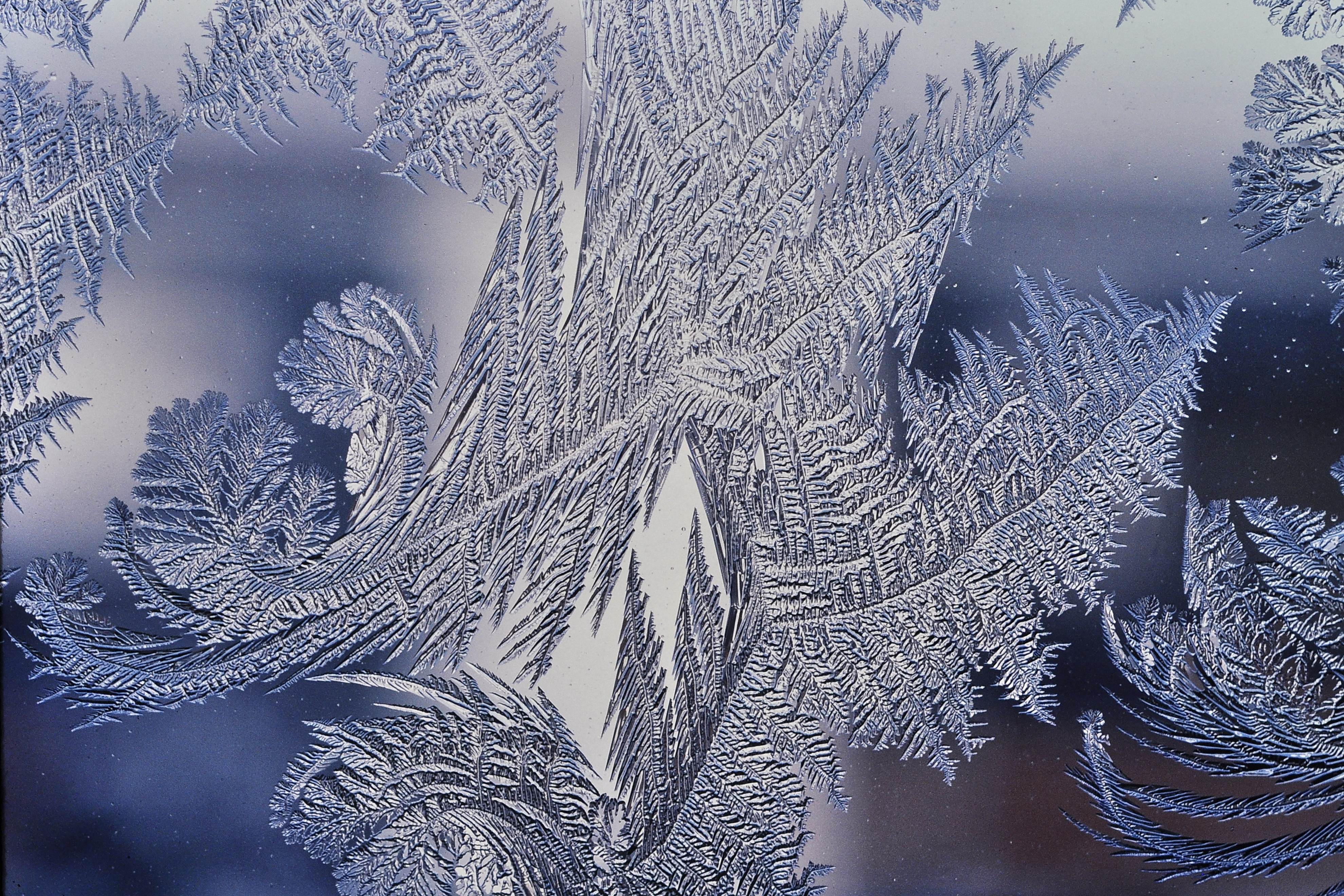 Frost patterns 4