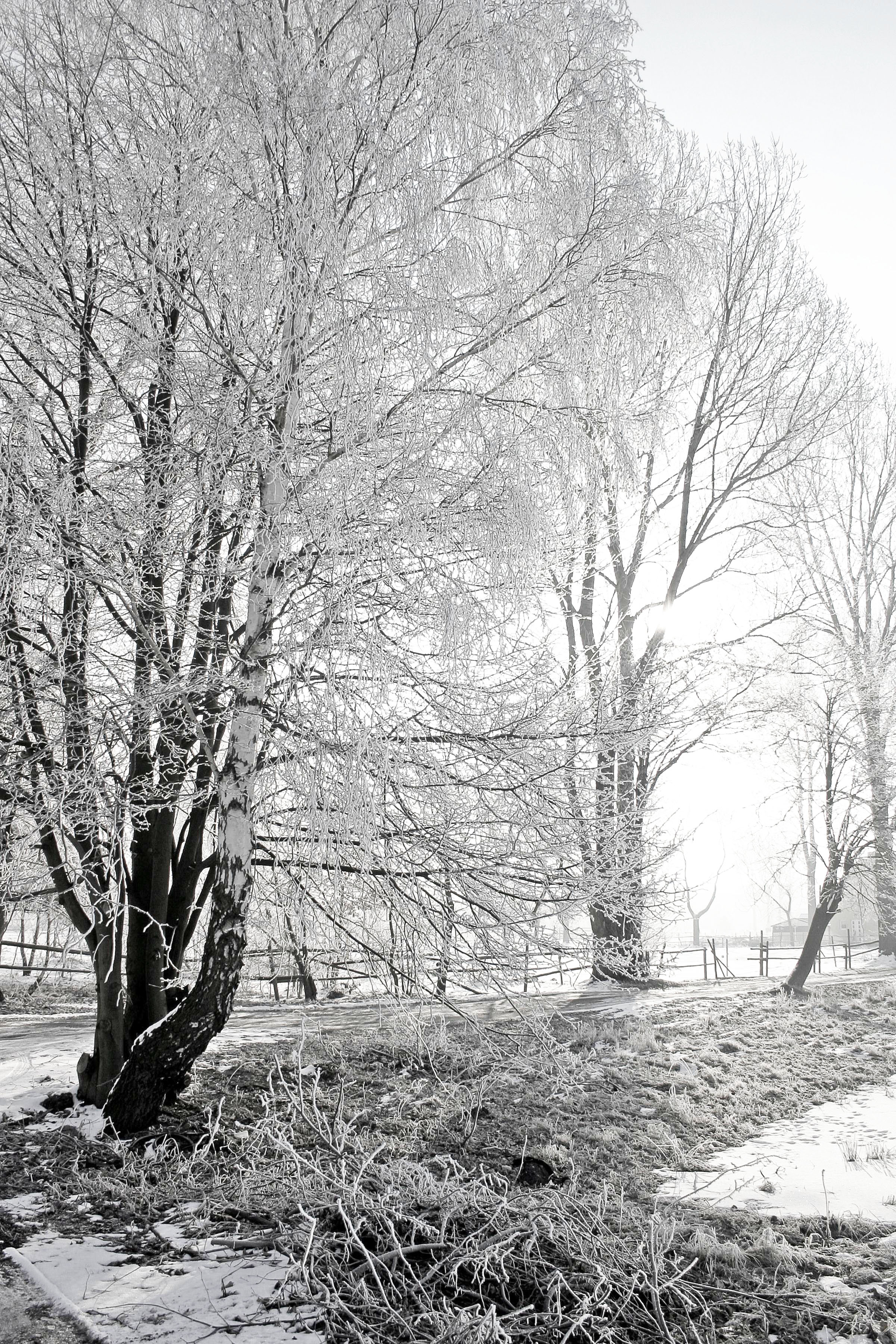 Frosty Winter Morning in Świnoujście, Poland
