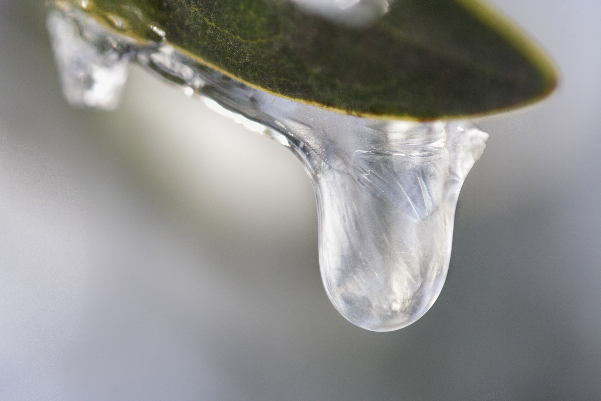 Frozen droplet