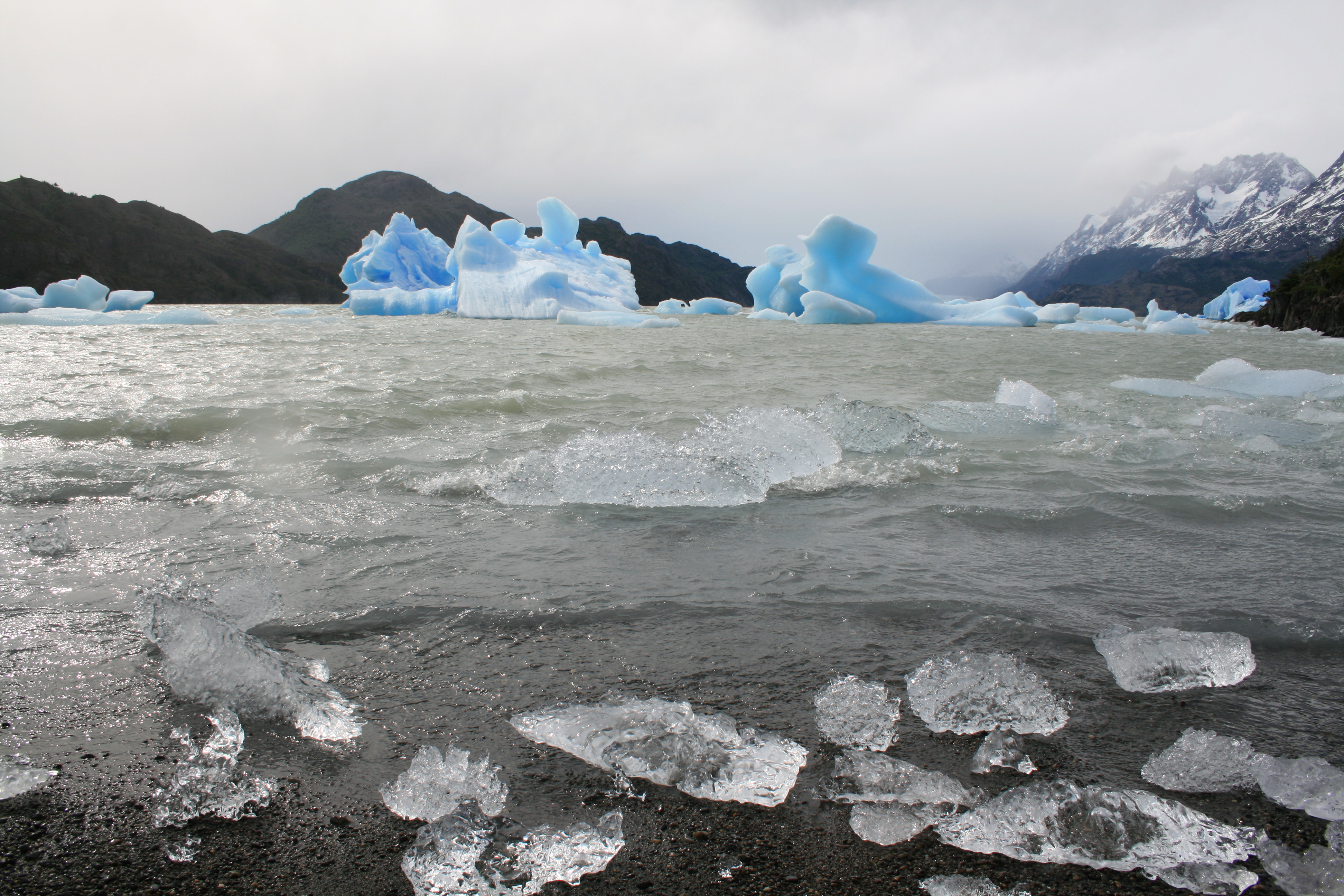 Glaciar Grey, Parque Nacional Torres del Paine, Chile5