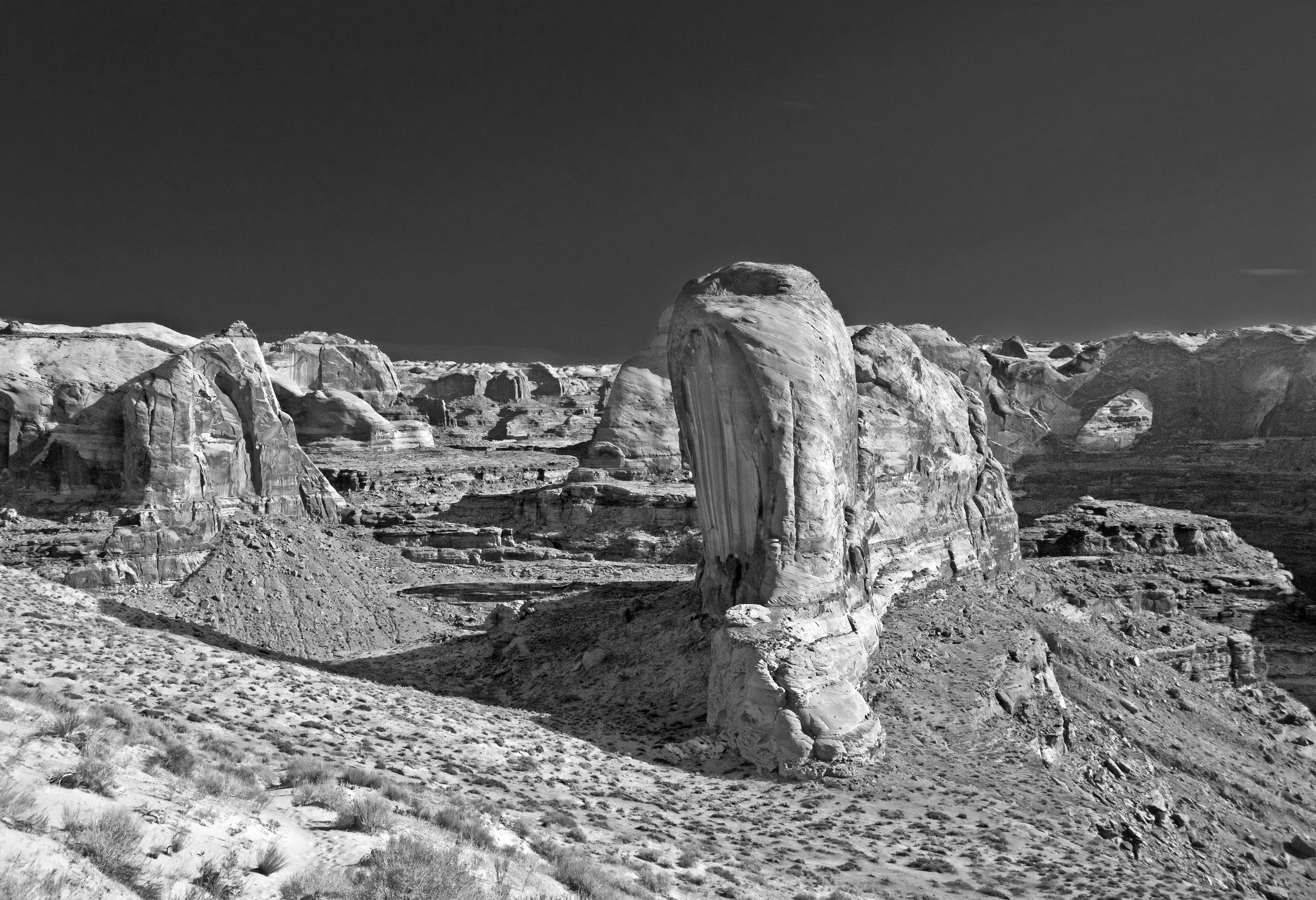 Gods Sculpture Garden (3968561589)
