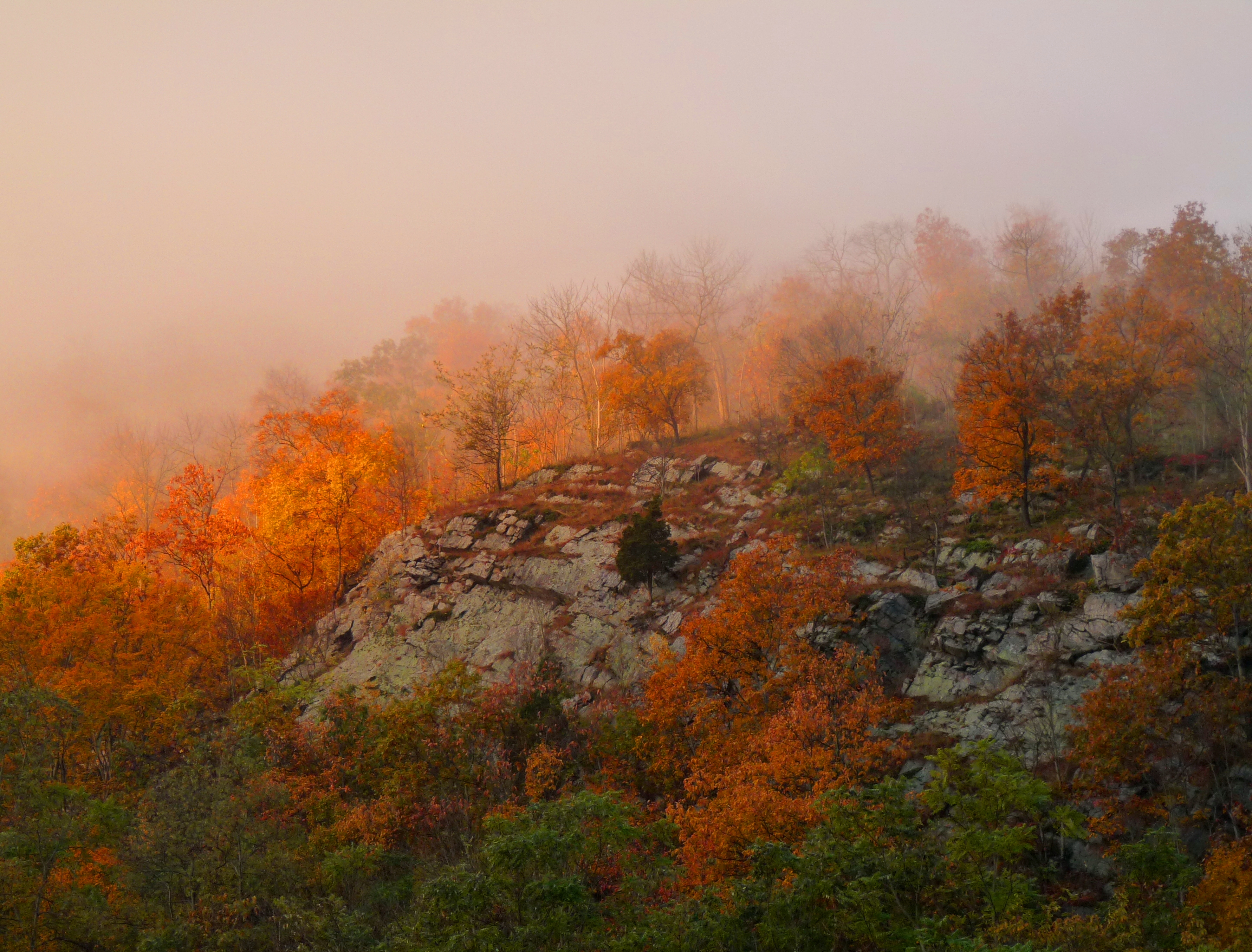 Golden sunrise atop Mt Minsi (8108364648)
