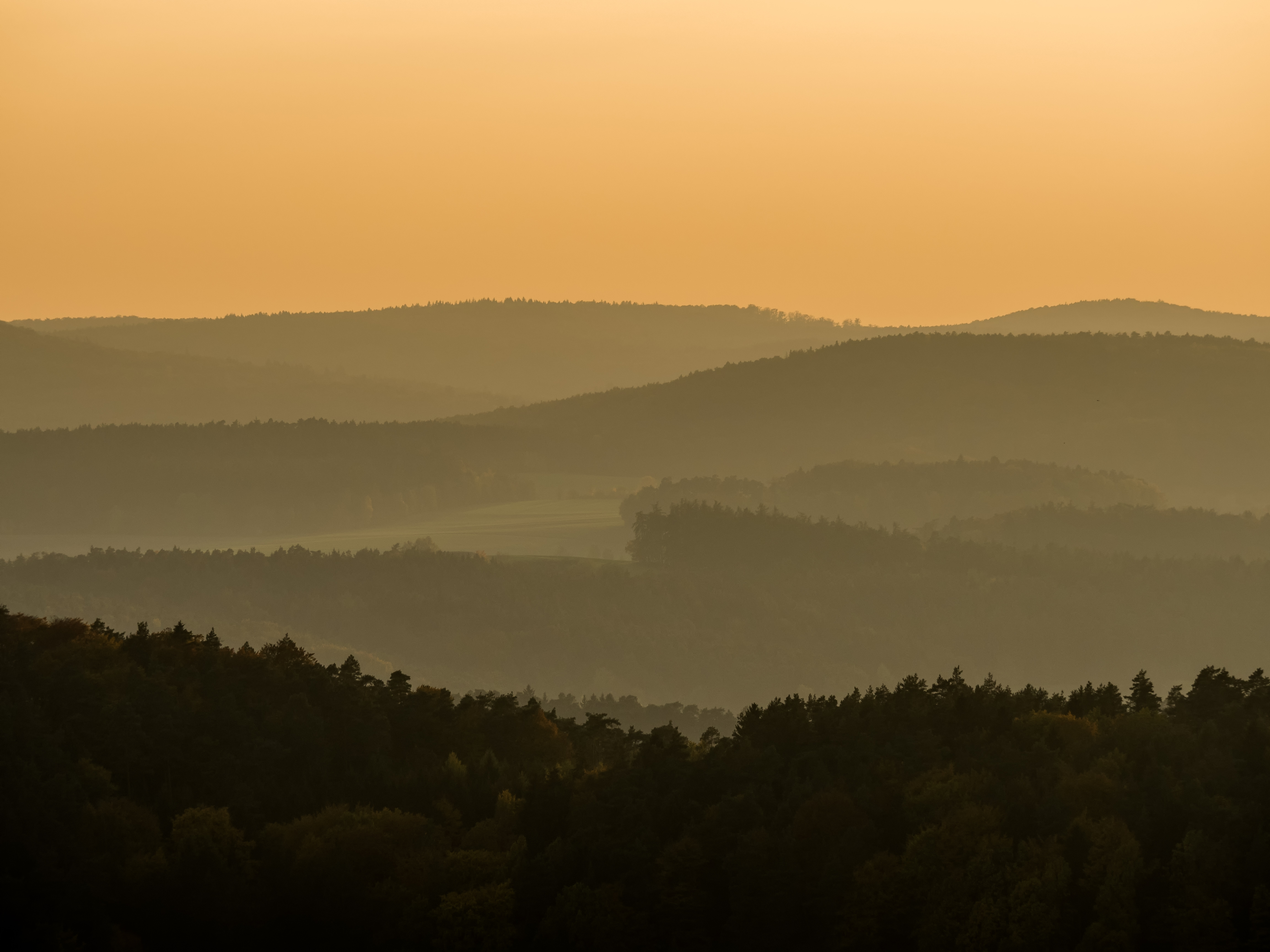 Haßberg-vom-Altenstein-266224-PS