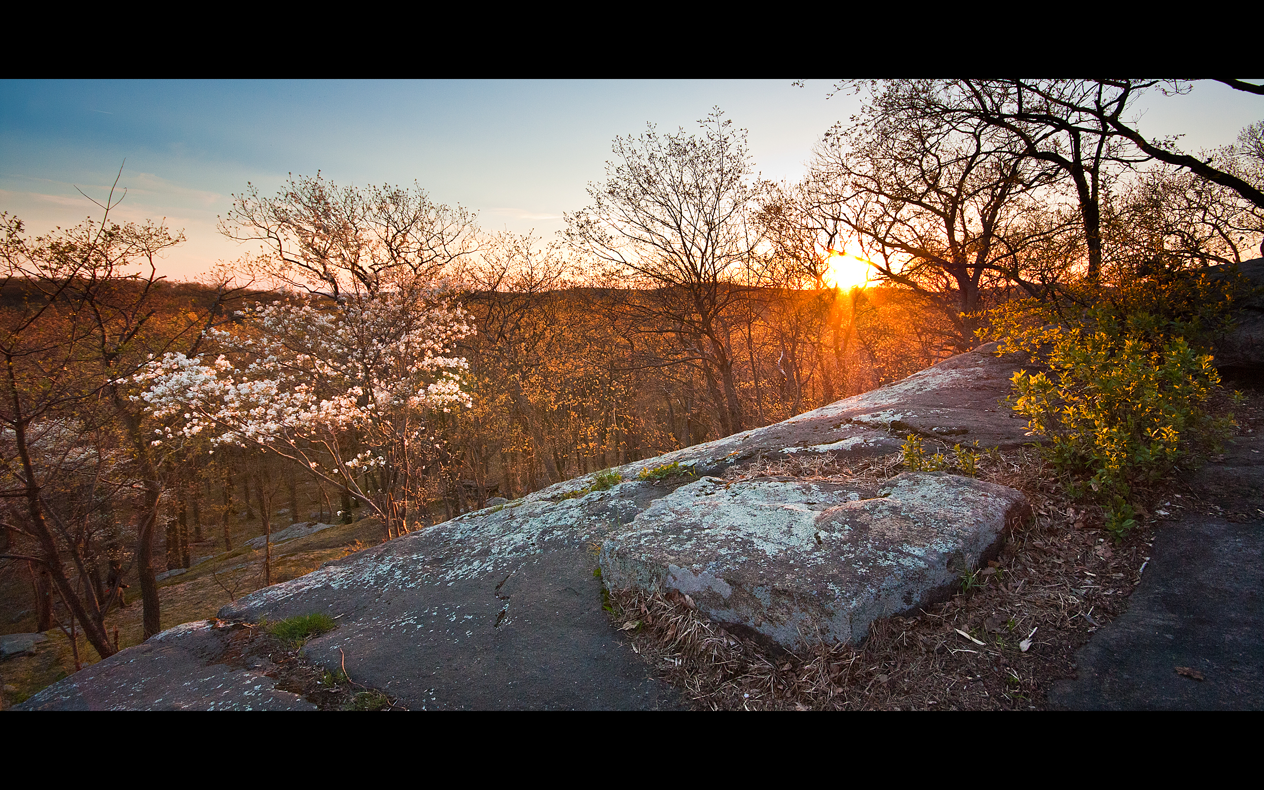 Harriman (6020446359)