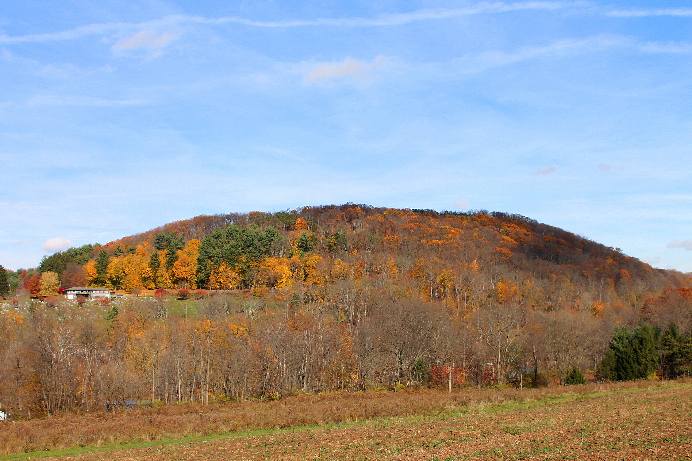 Hill in Catawissa Township