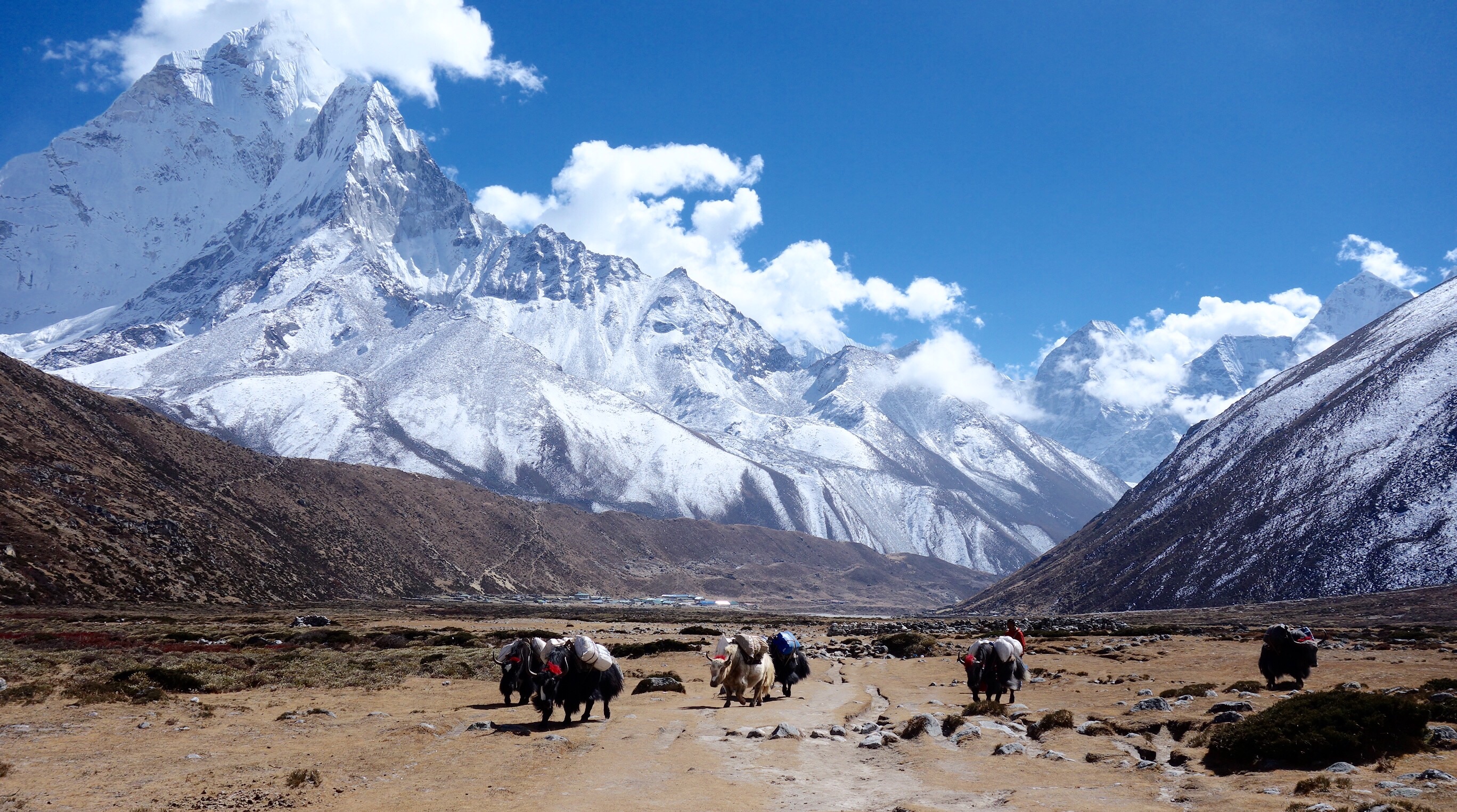 Памир гималаи. Национальный парк Сагарматха. Pheriche Непал. Национальный парк Сагарматха и гора Эверест. Заповедник Сагарматха Непал.