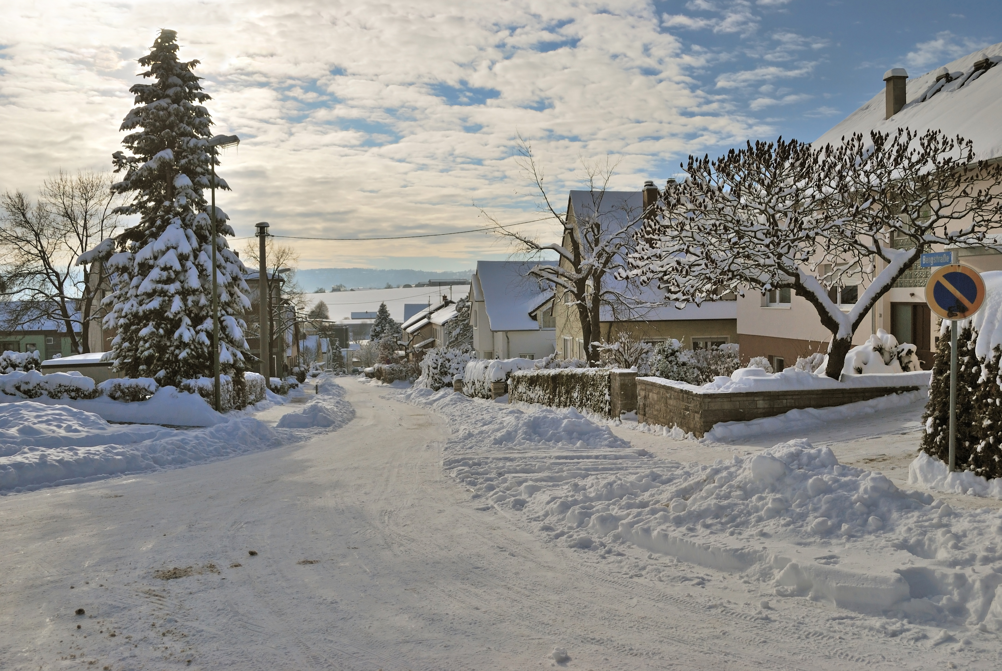 Hirschlanden Winter 2010 (2)