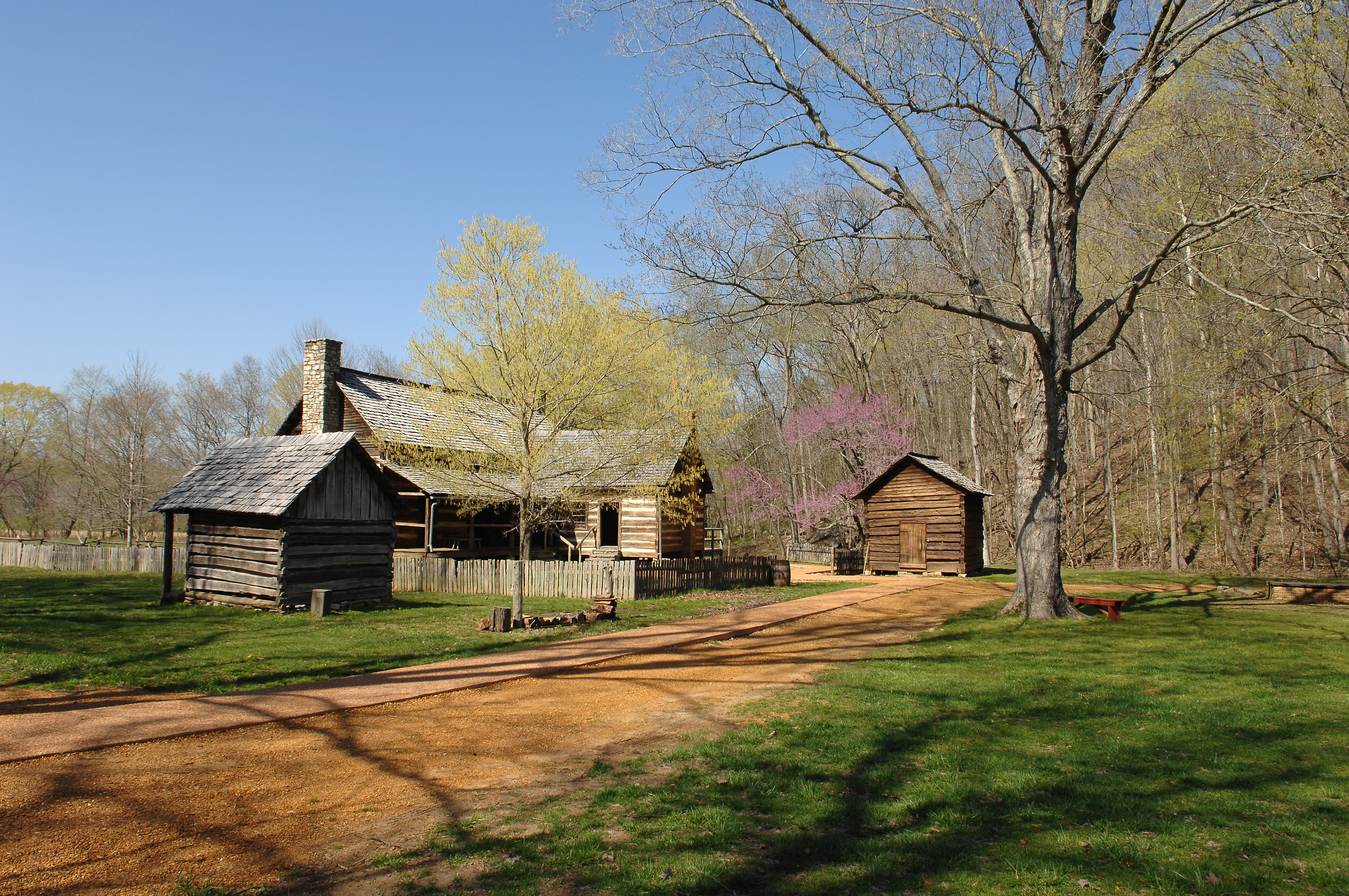 a portion of the sixteen log structures that make up 