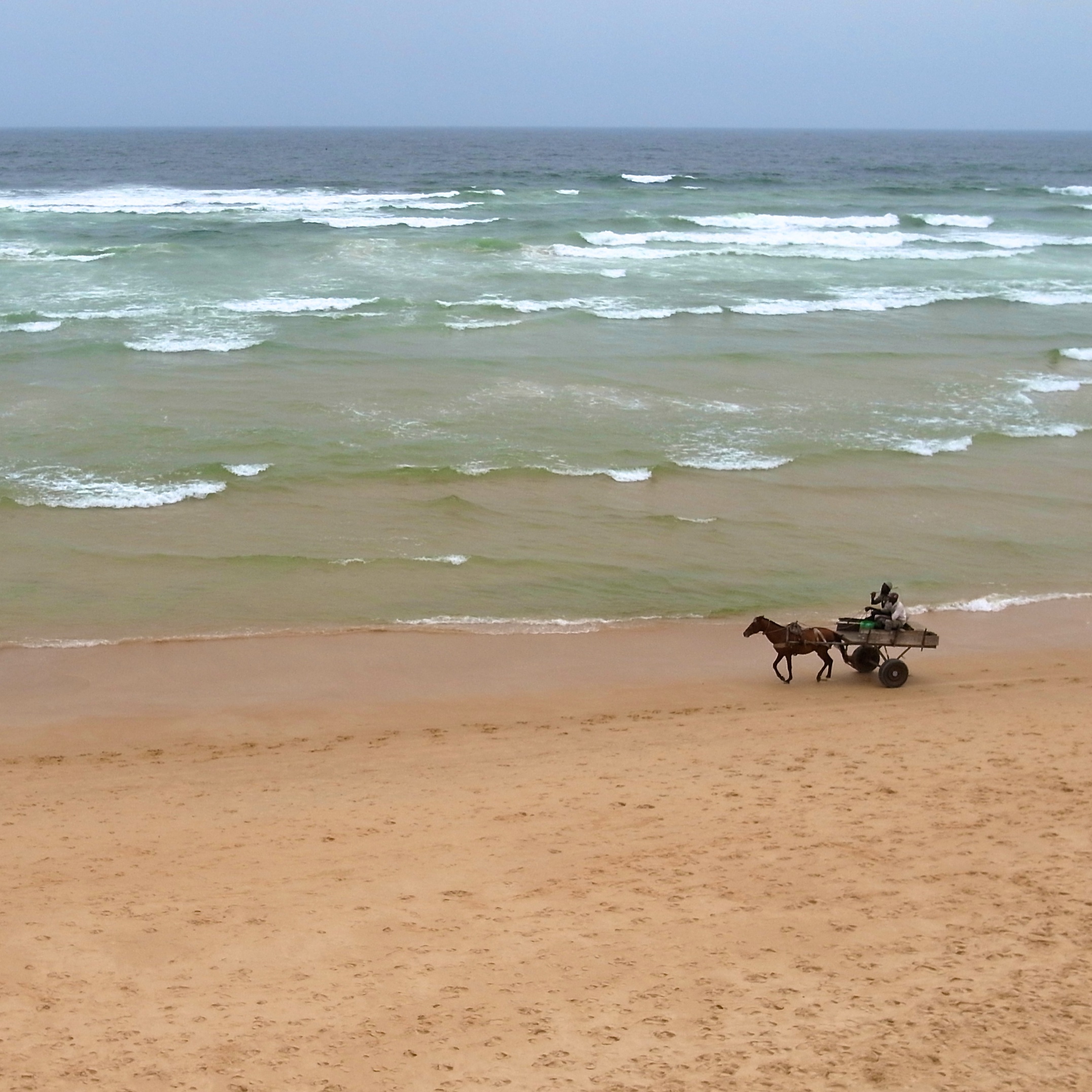 Horse cart (5728191168)