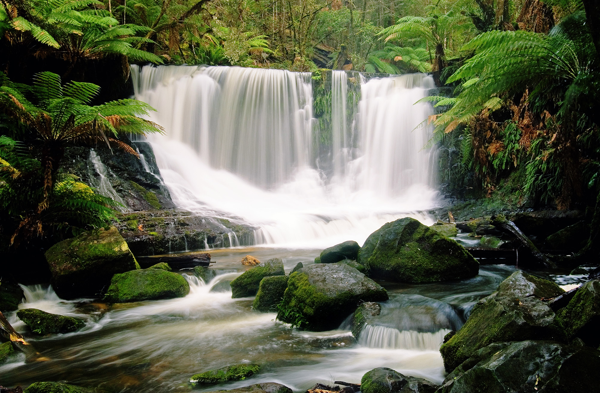 Horseshoe falls fw