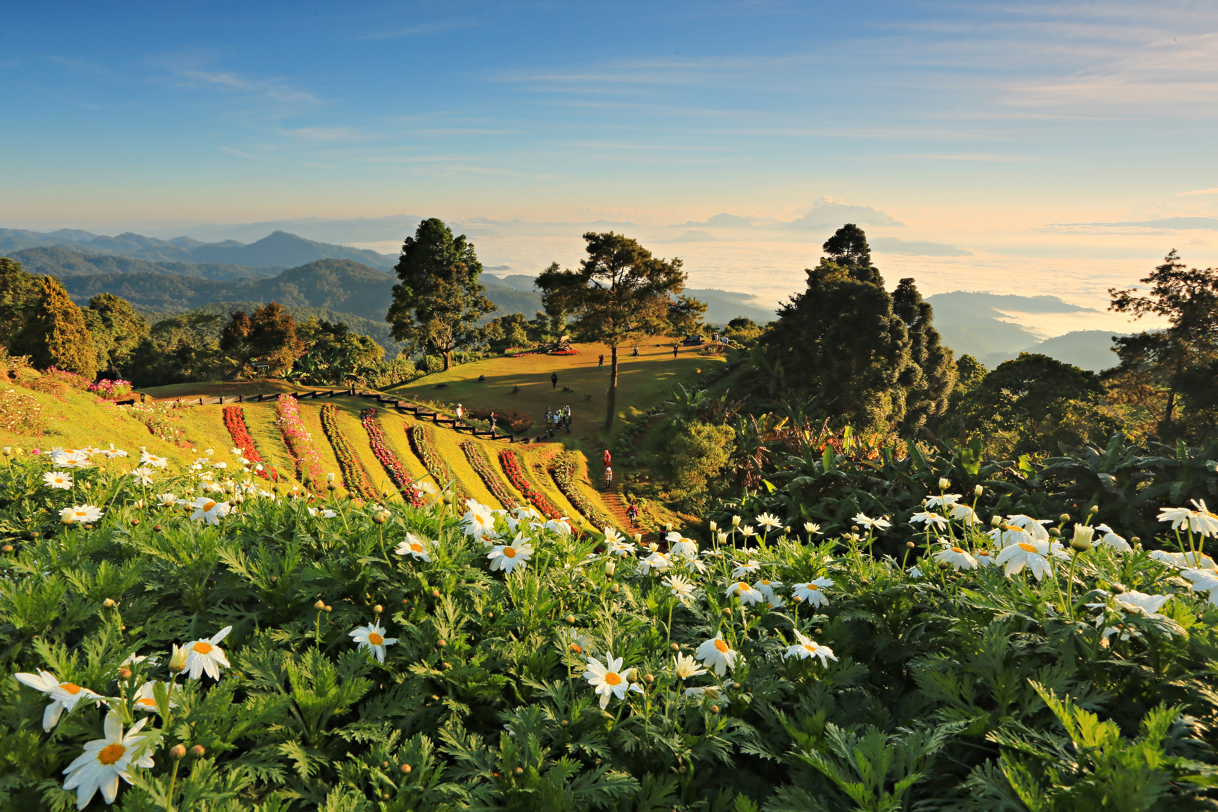 Huay Nam Dung National Park Chiang Mai Thailand