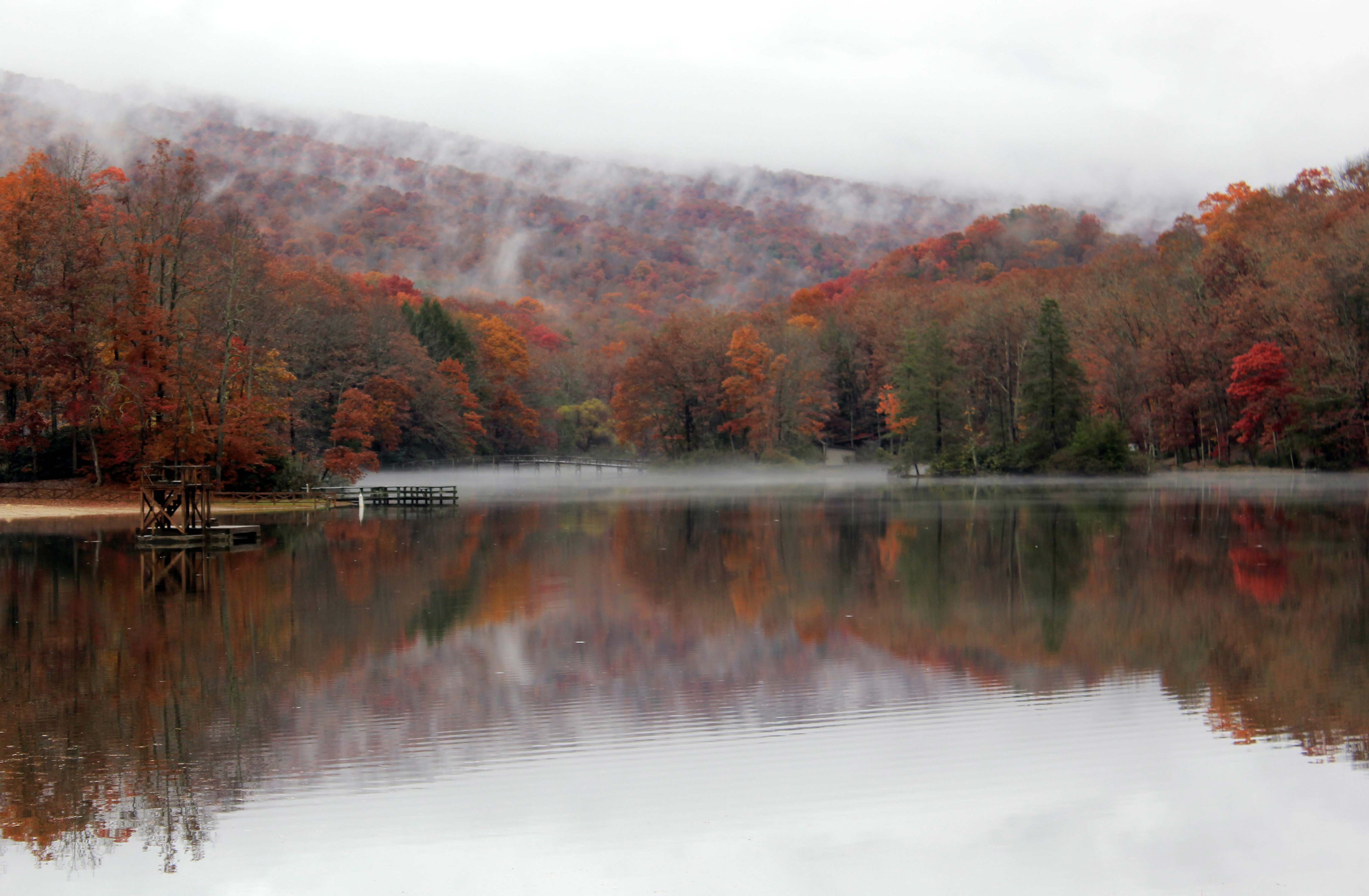 Hungry Mother in the Fall (23136333212)