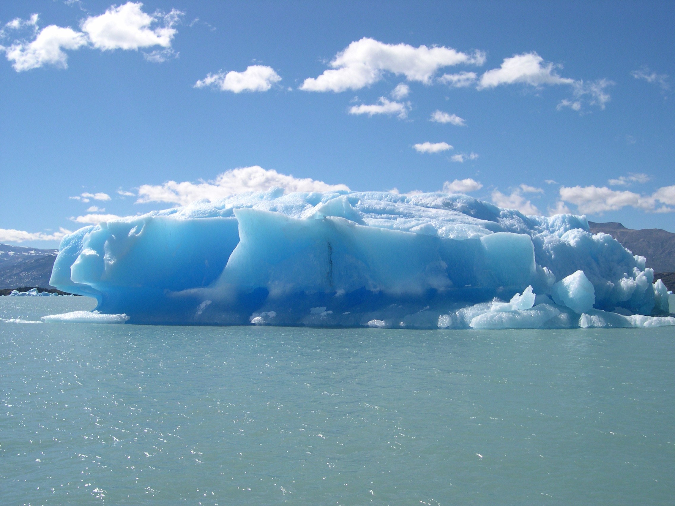 Iceberg bat