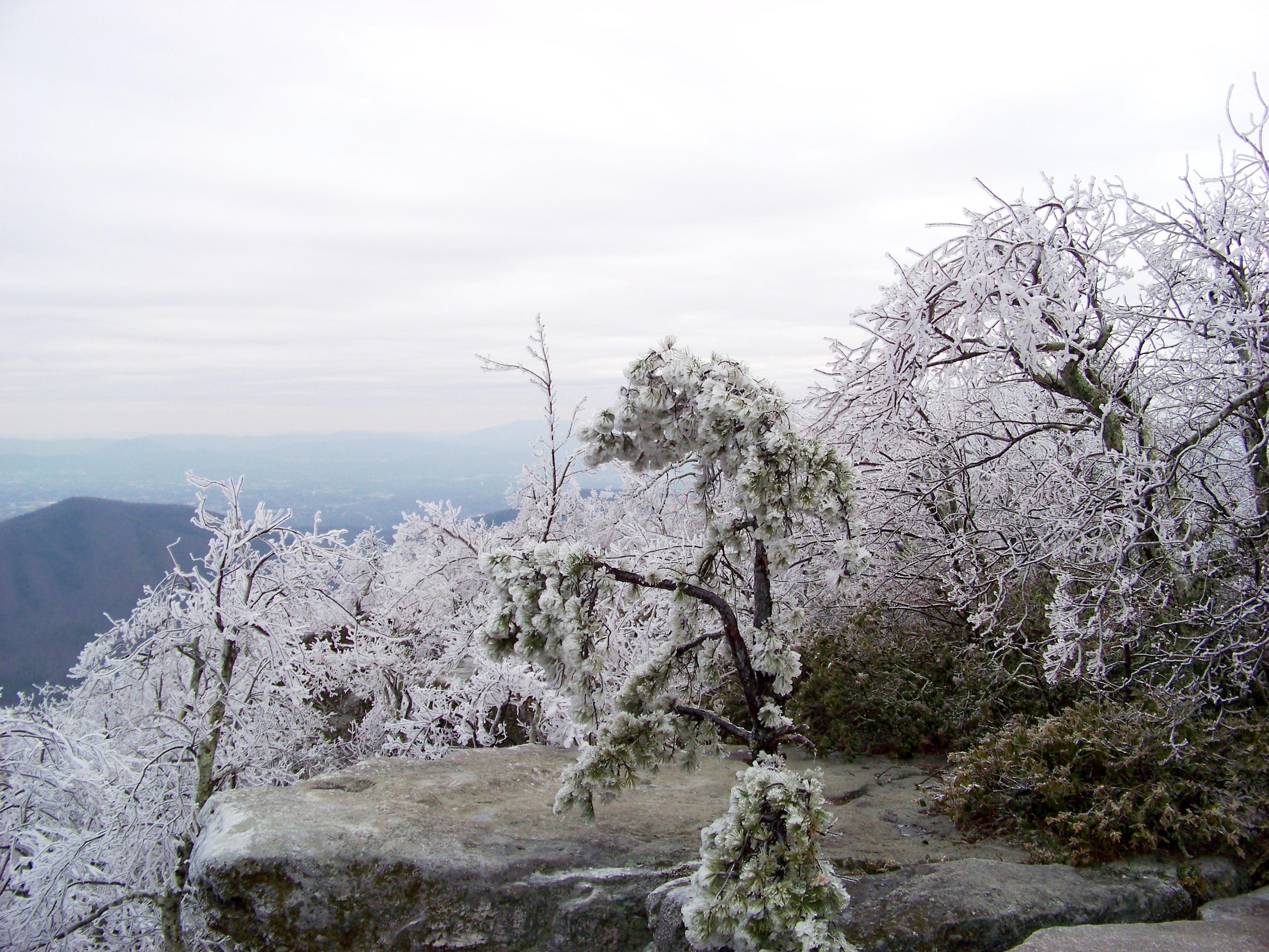 Icy Stillness - panoramio