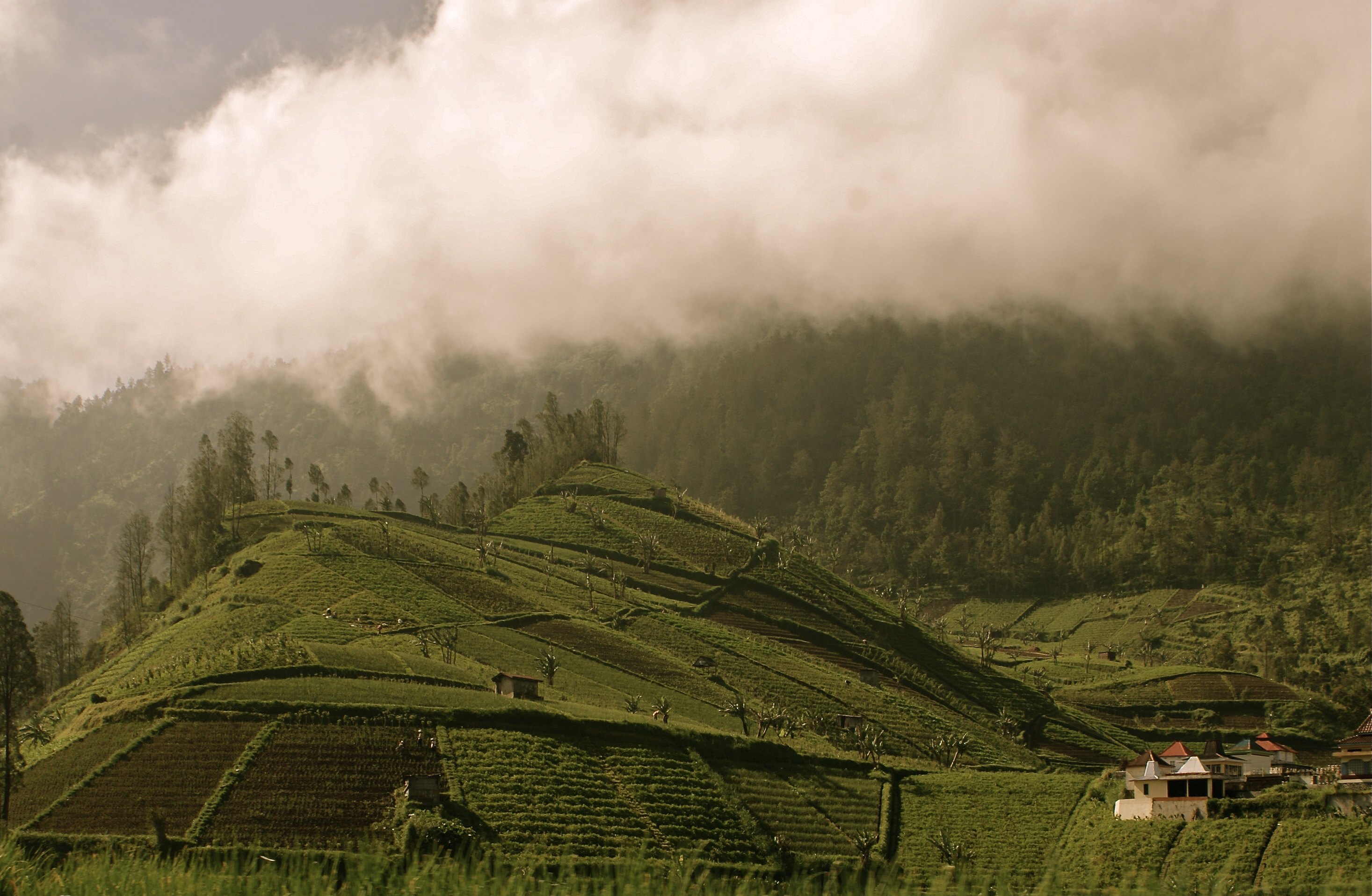 Indonesia - Peace Corps (11652437524)