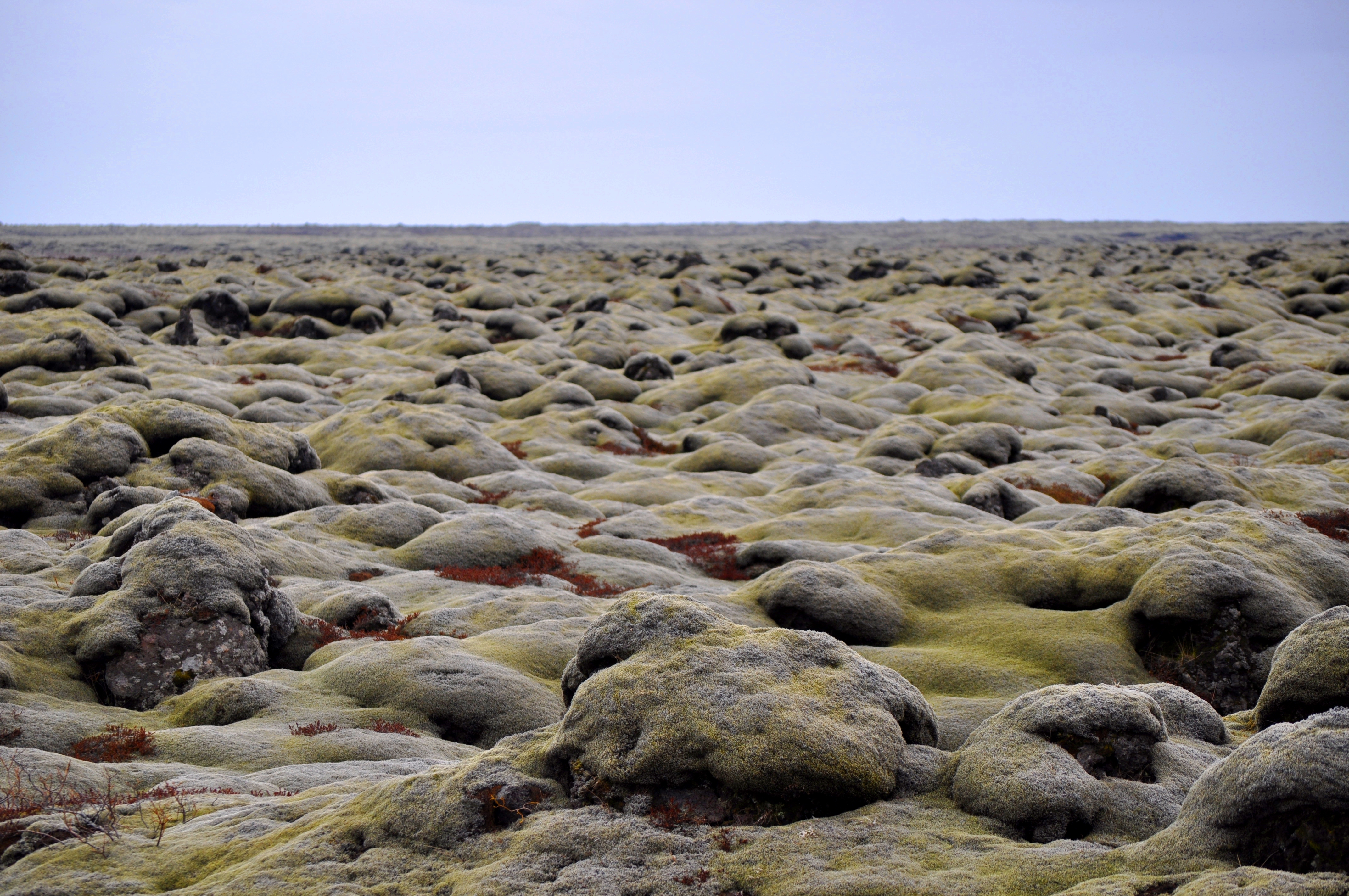 Islandsk landskab (1)
