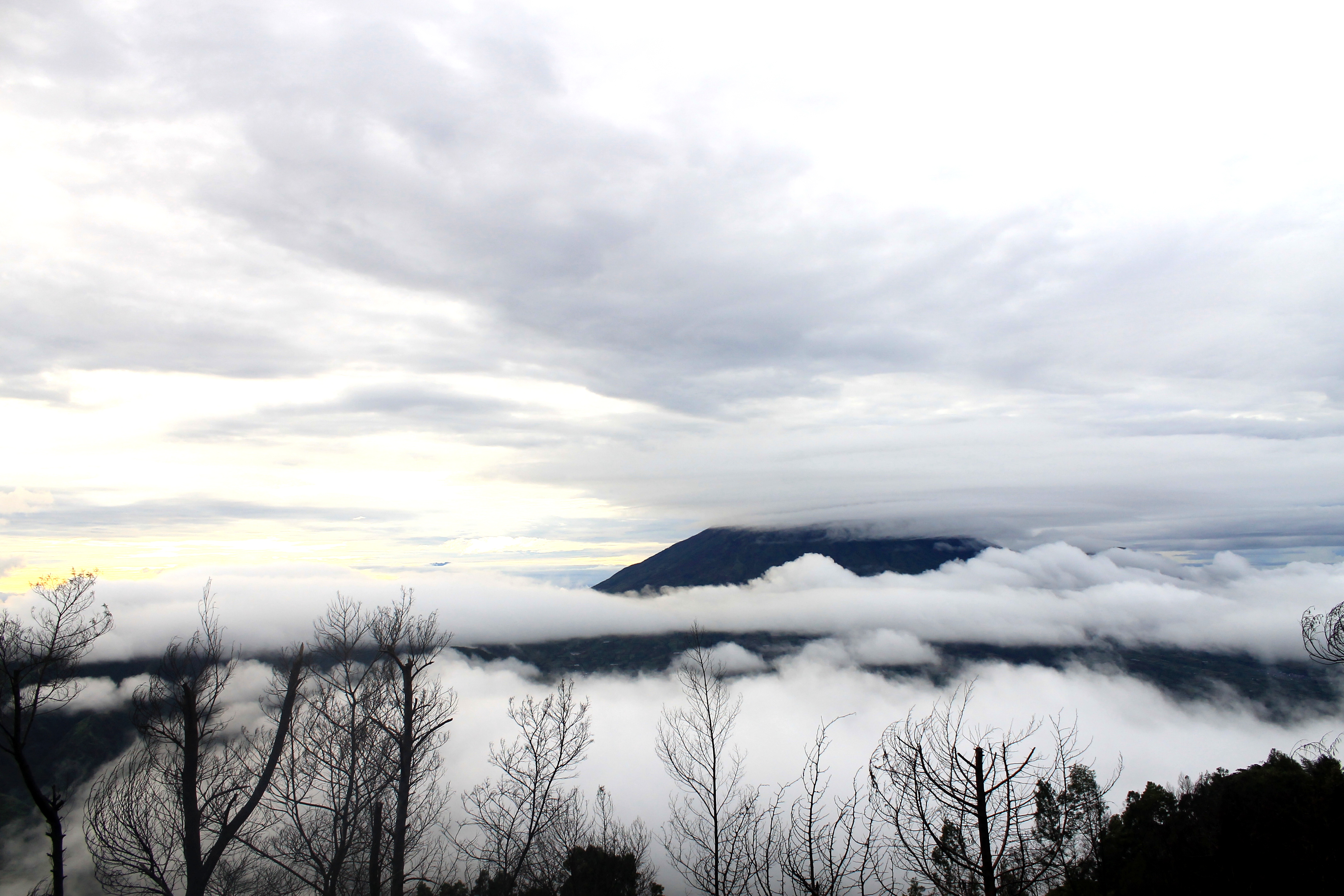 Kabut dieng
