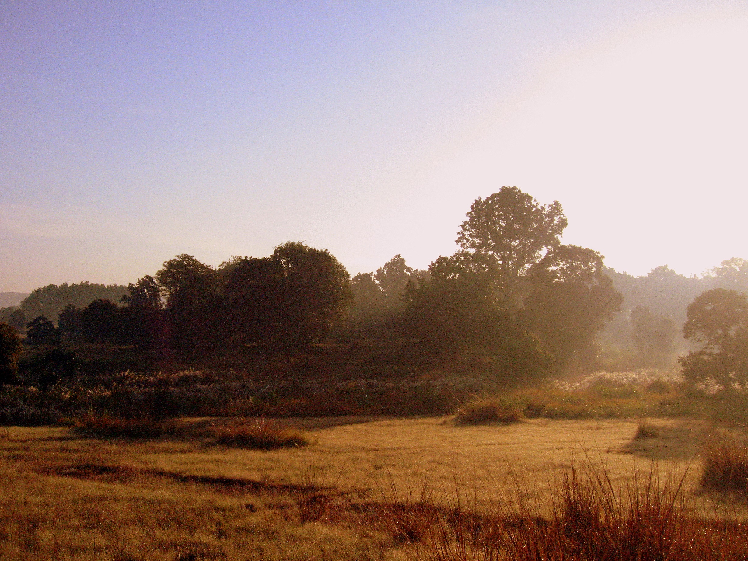 Kanha National Park 10