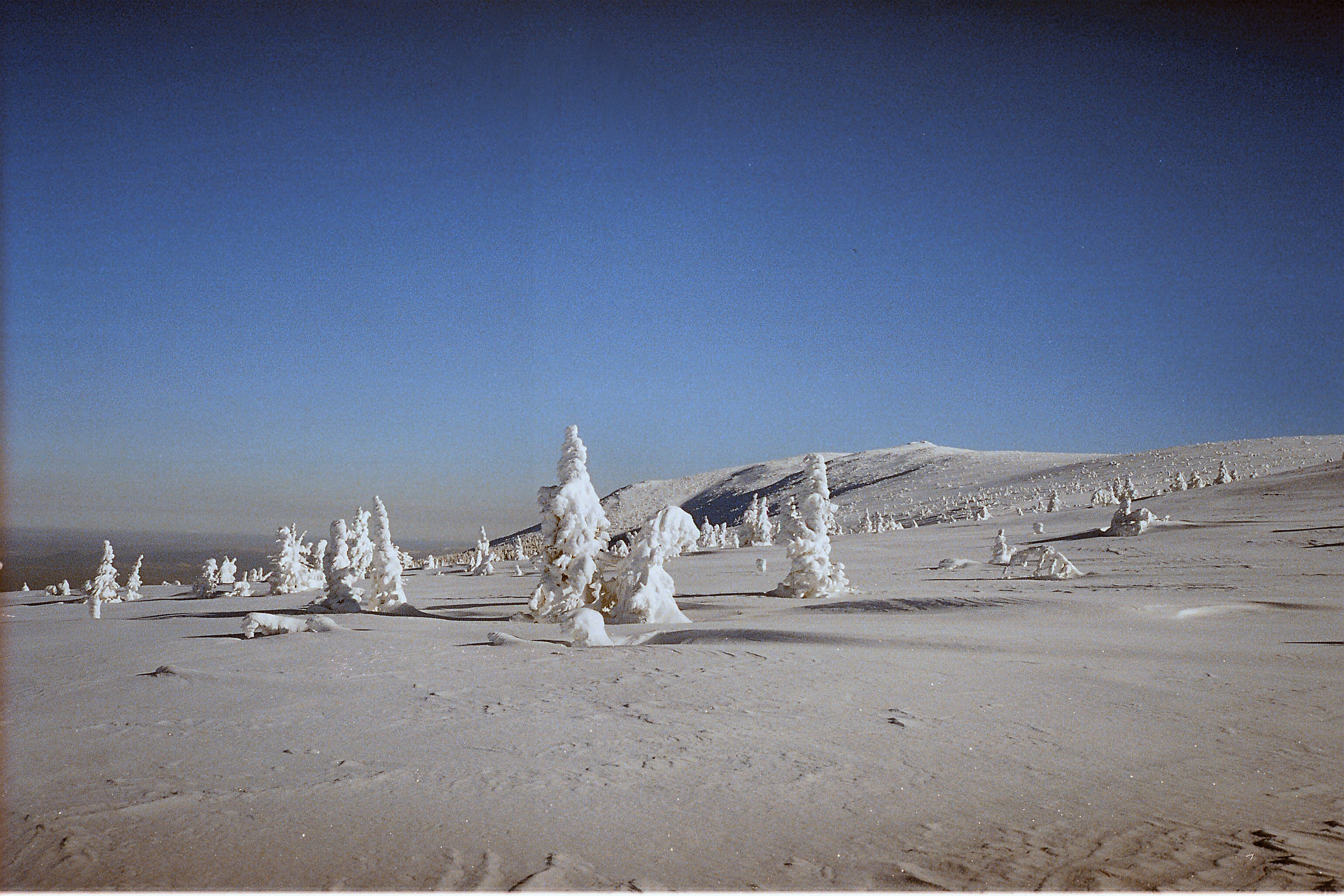 Karkonosze in winter 01