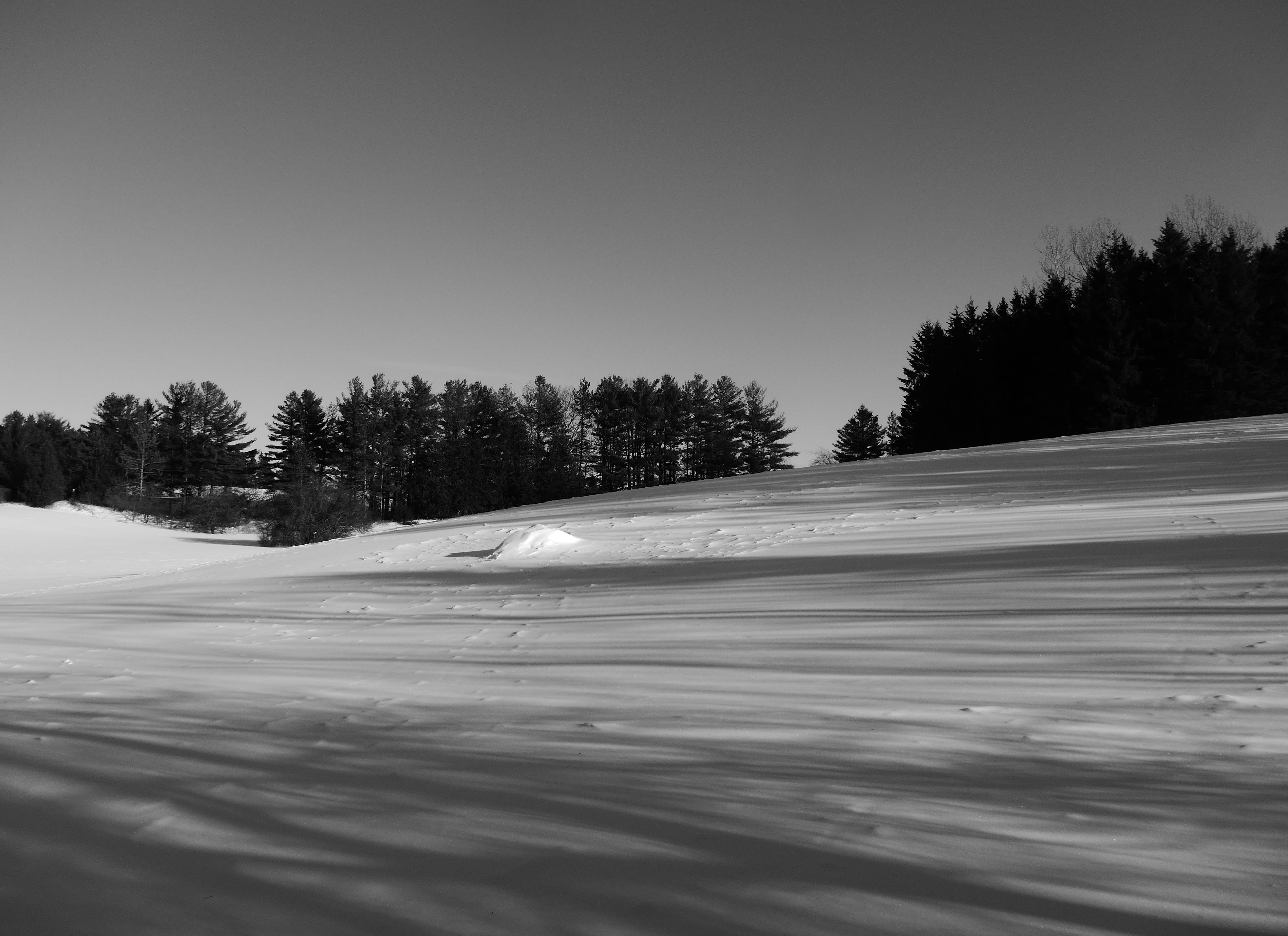 King Landscape (39796242642)