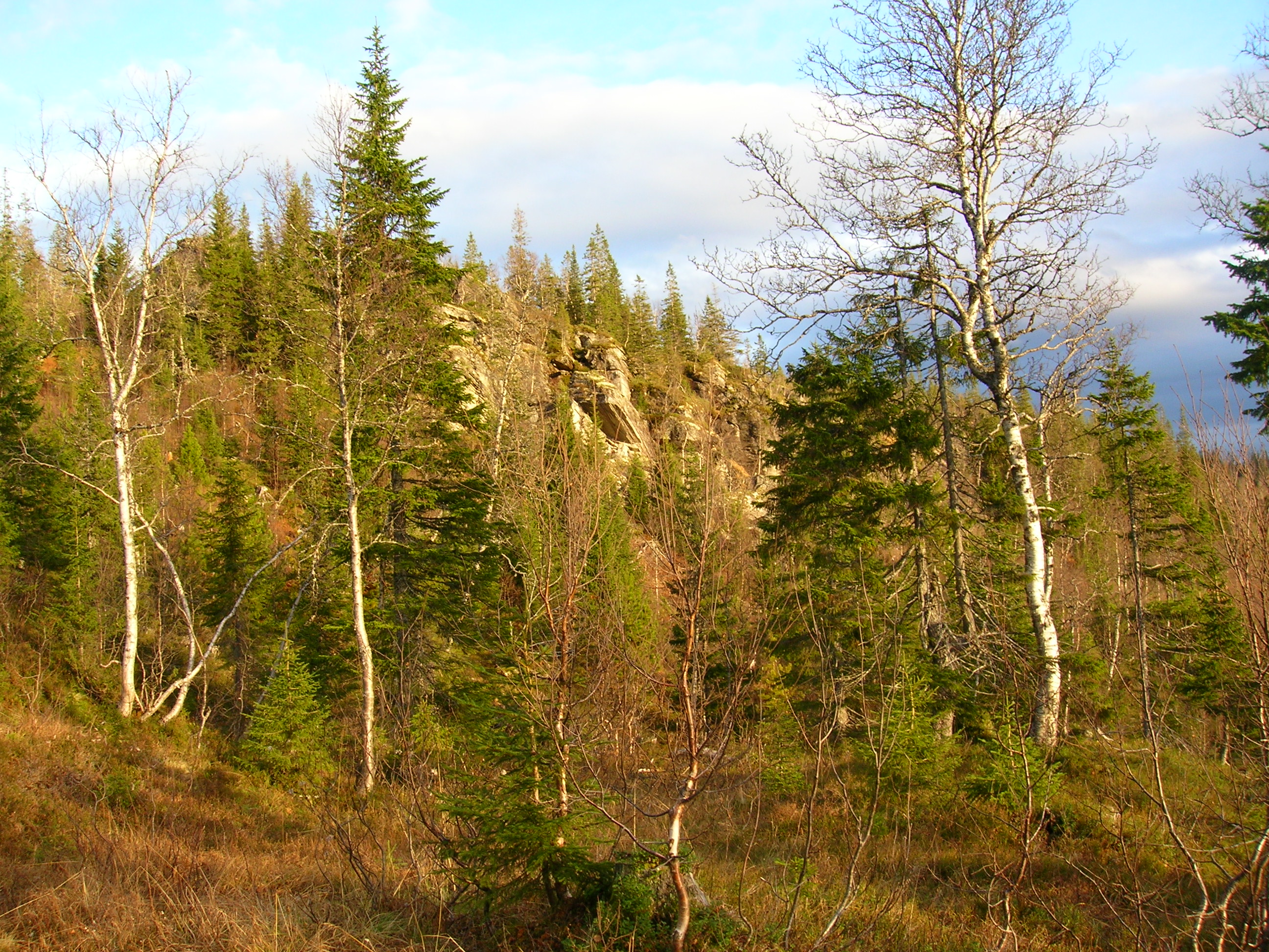 Kvitbergan B