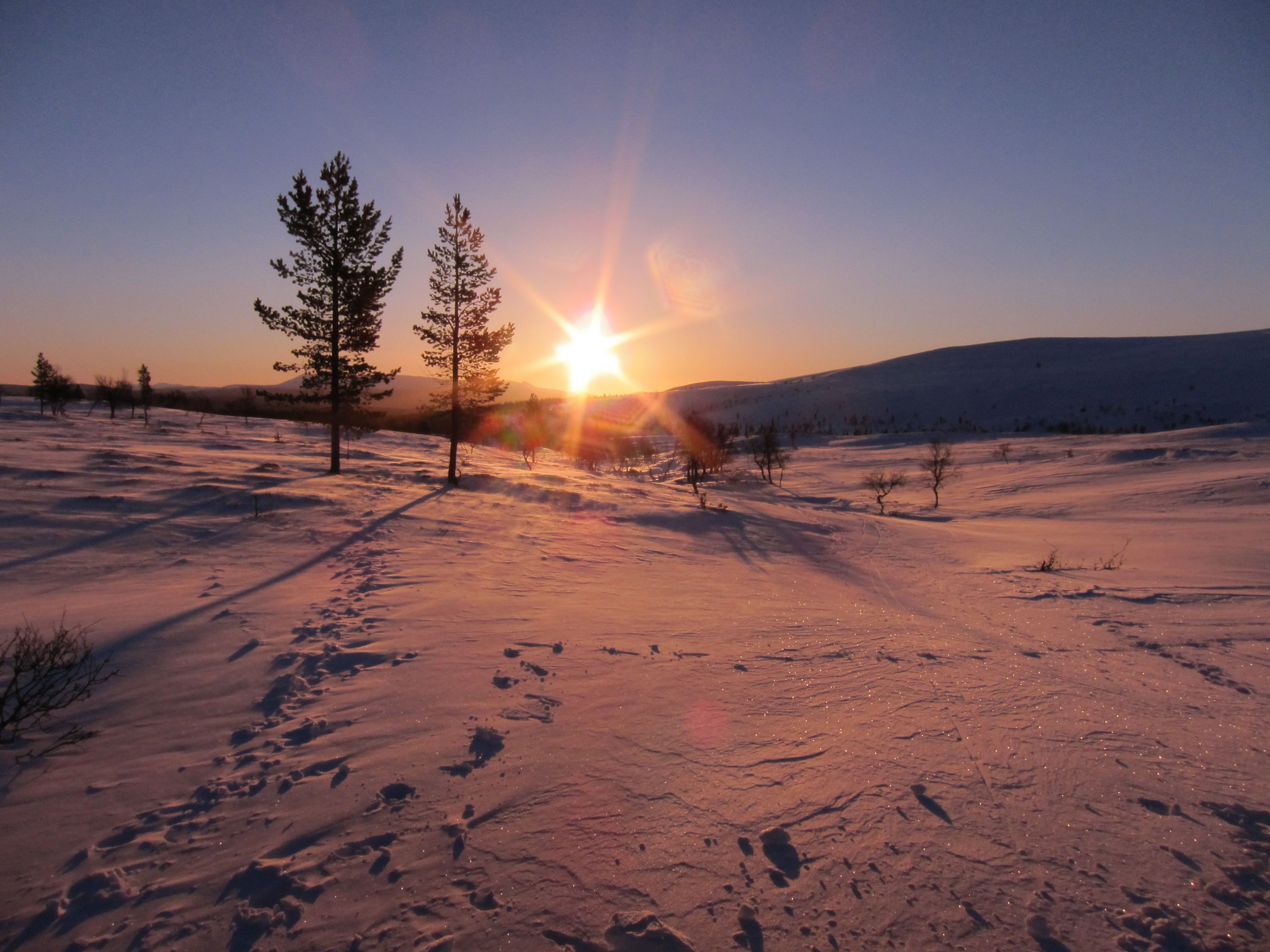 Långfjället 1