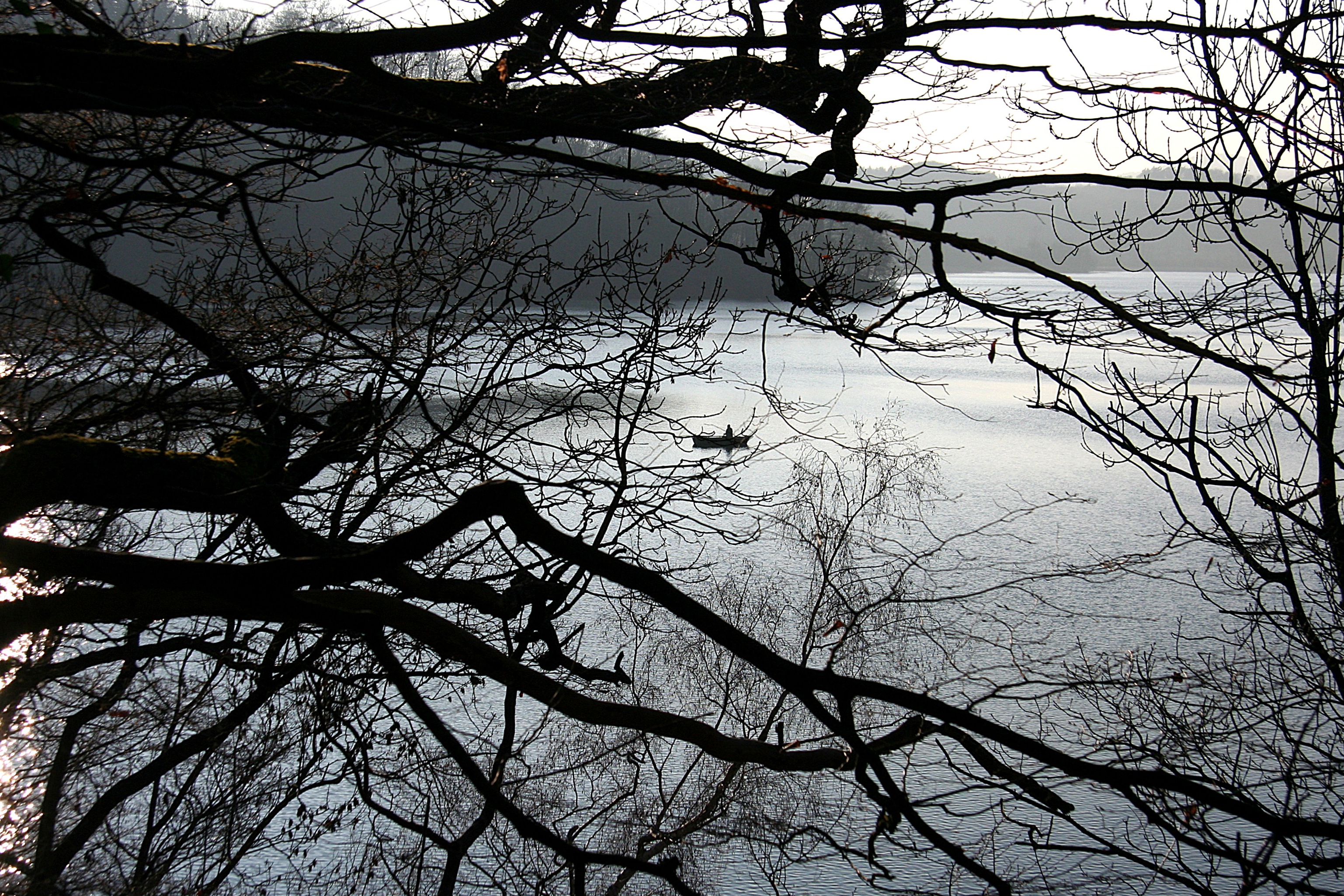 Laacher See, Ostufer (2008-12-28)