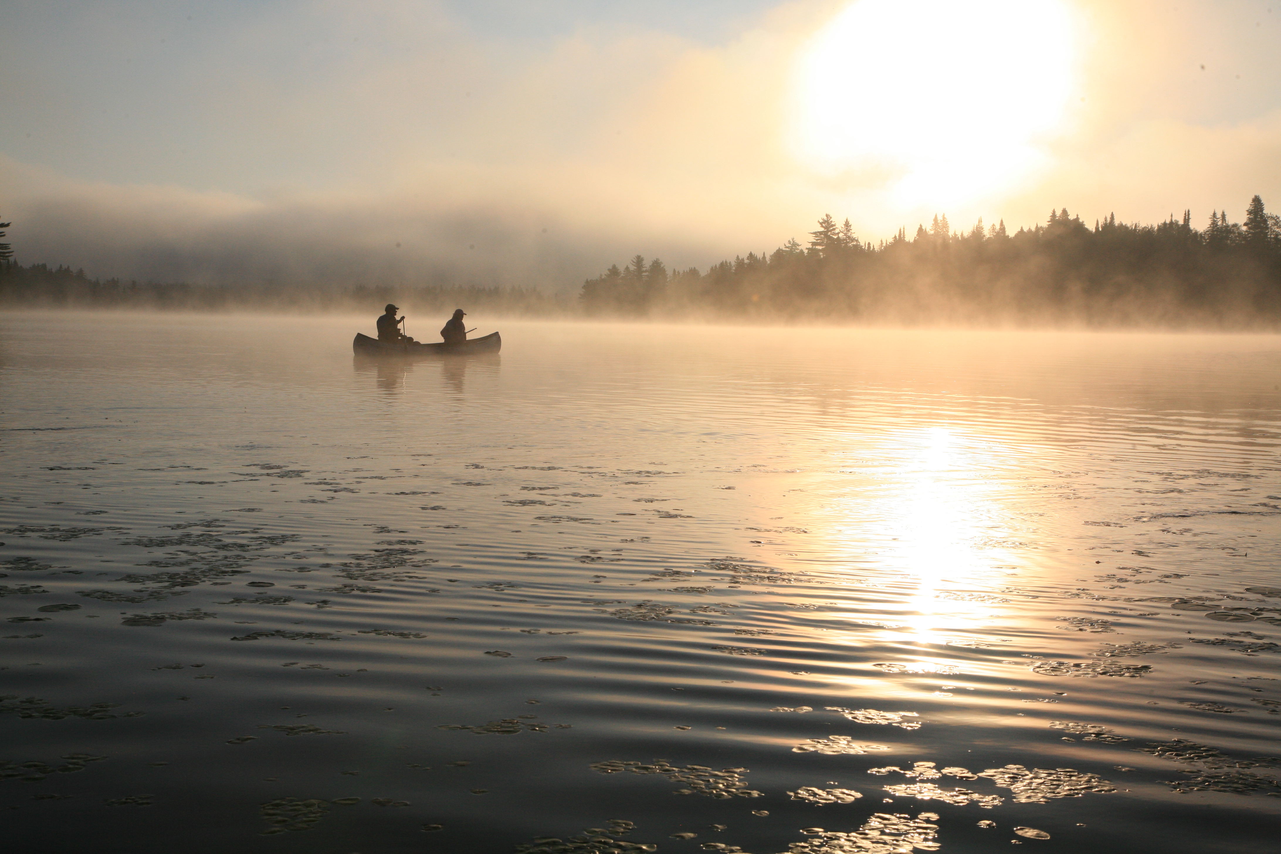 Lac du fou, Parc de la Mauricie