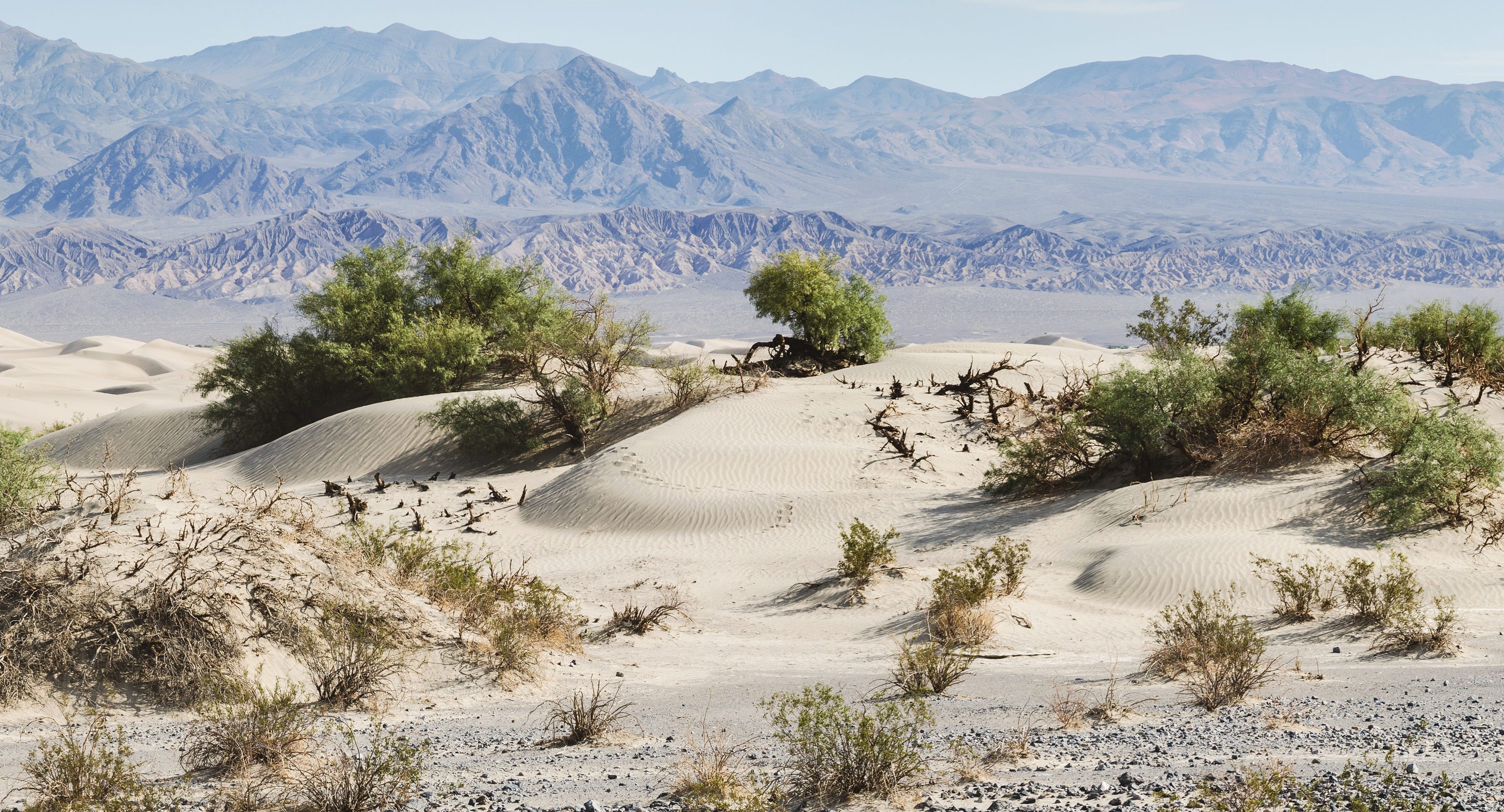 Landscape near Mesquite Flat Sand Dunes Morning 2013