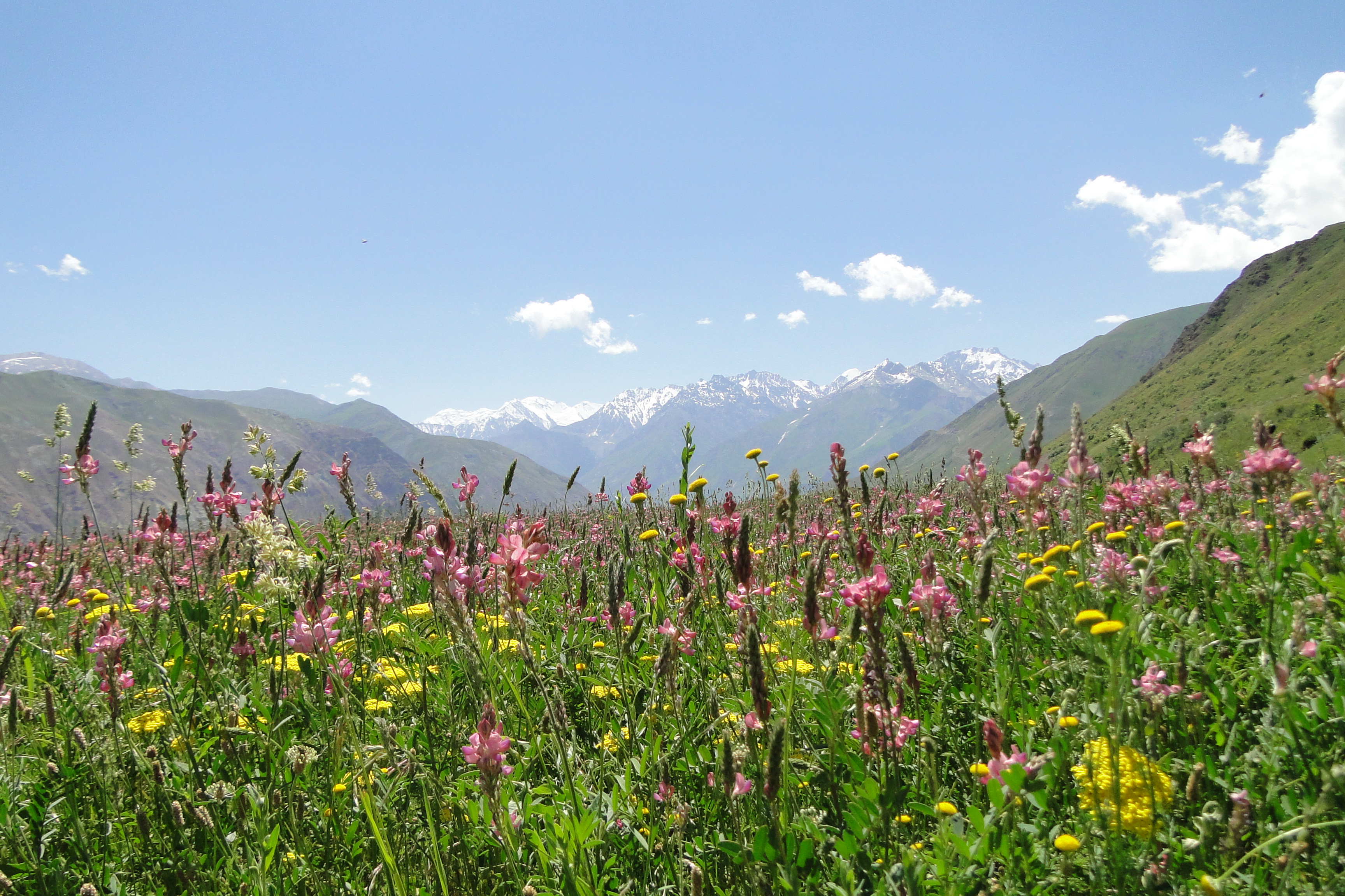 Landscape of Tajikistan,panoramio 01