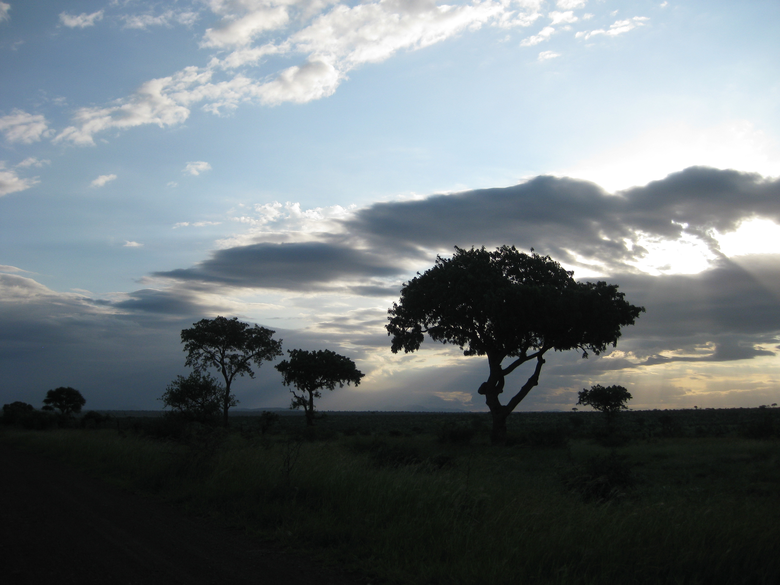 Late afternoon (6858496467)