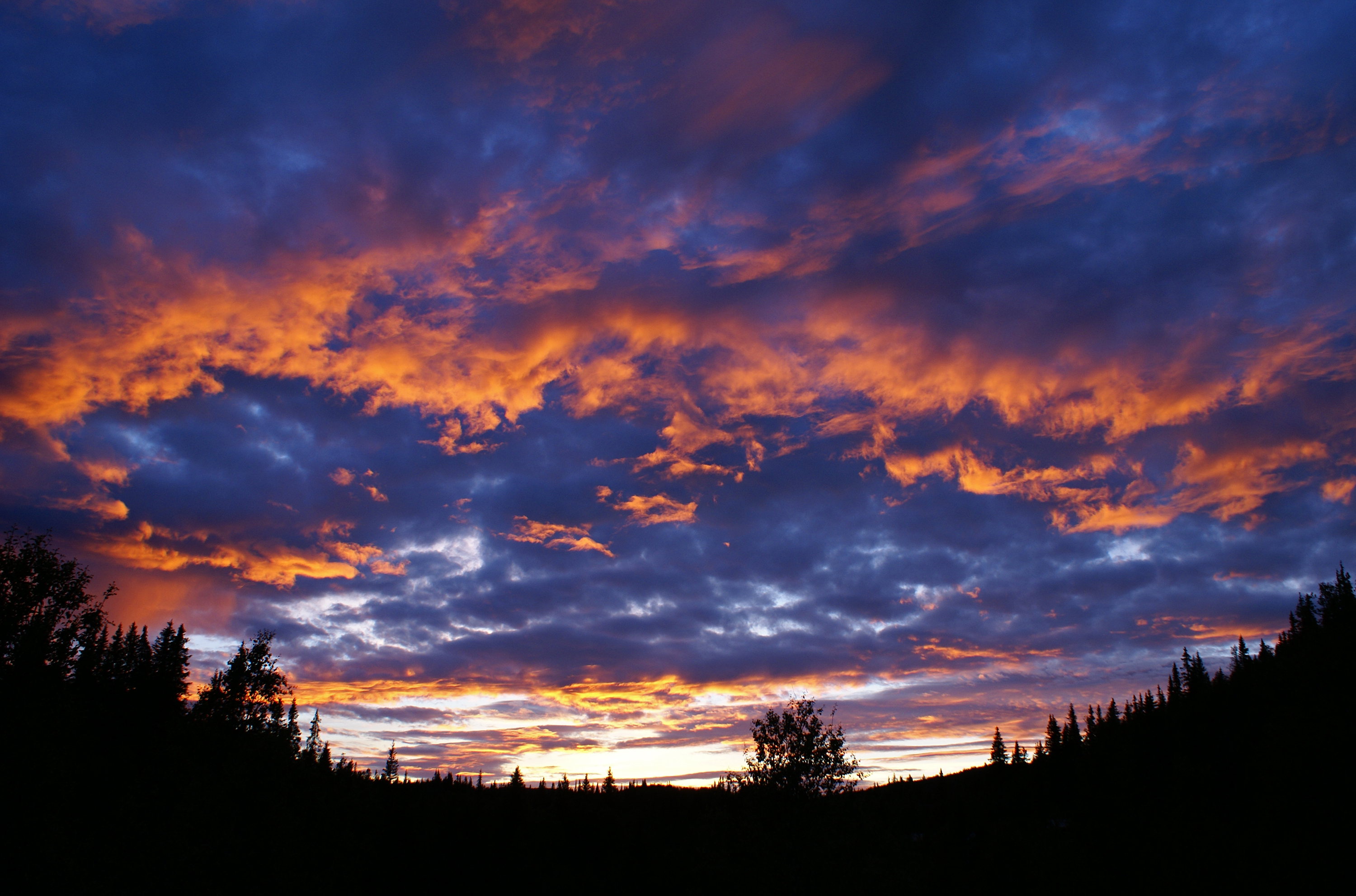 Late evening (2683342134)