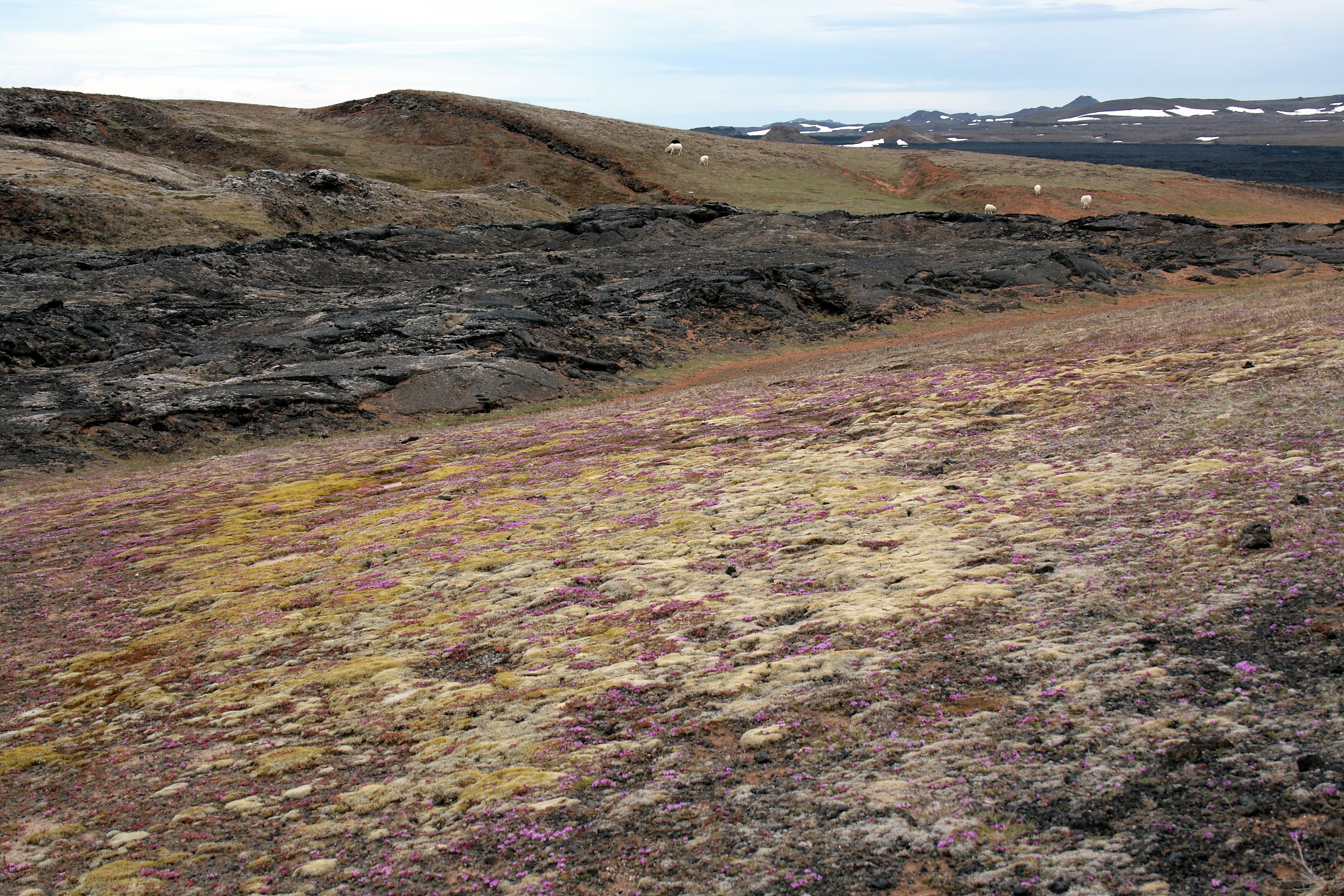 Leirhnjúkur 5983