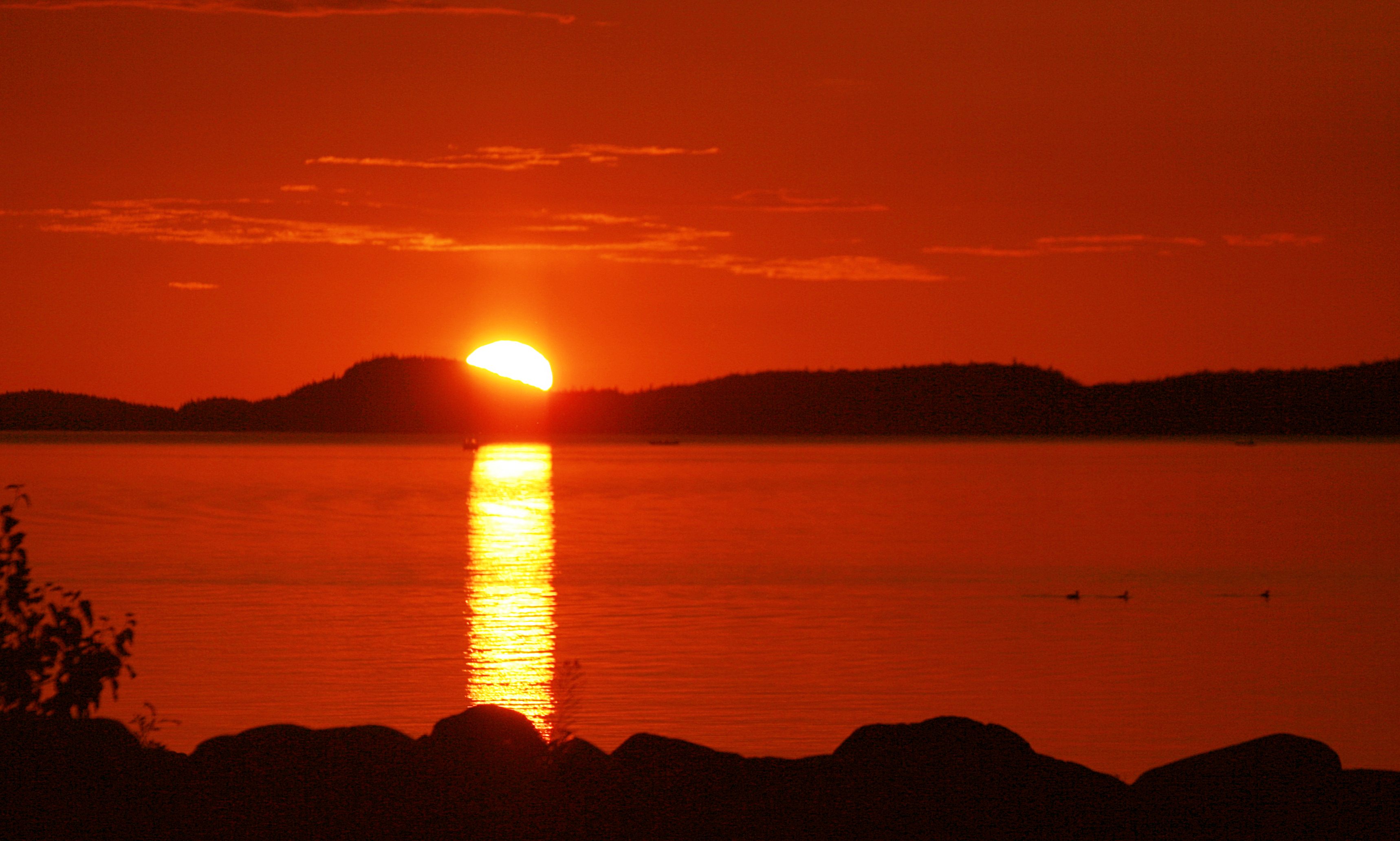 Little trout bay sunset