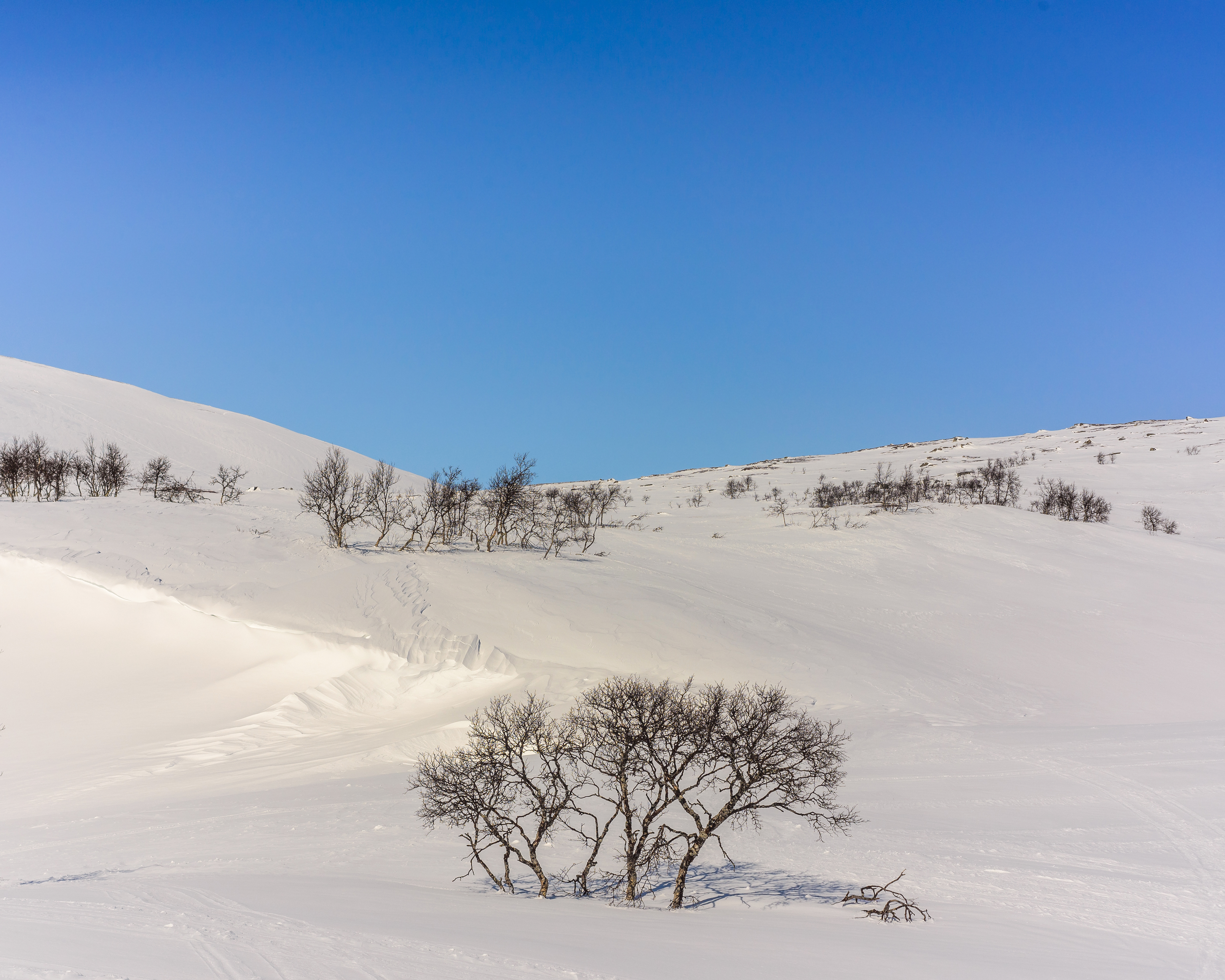 Ljungdalen April 2014 02