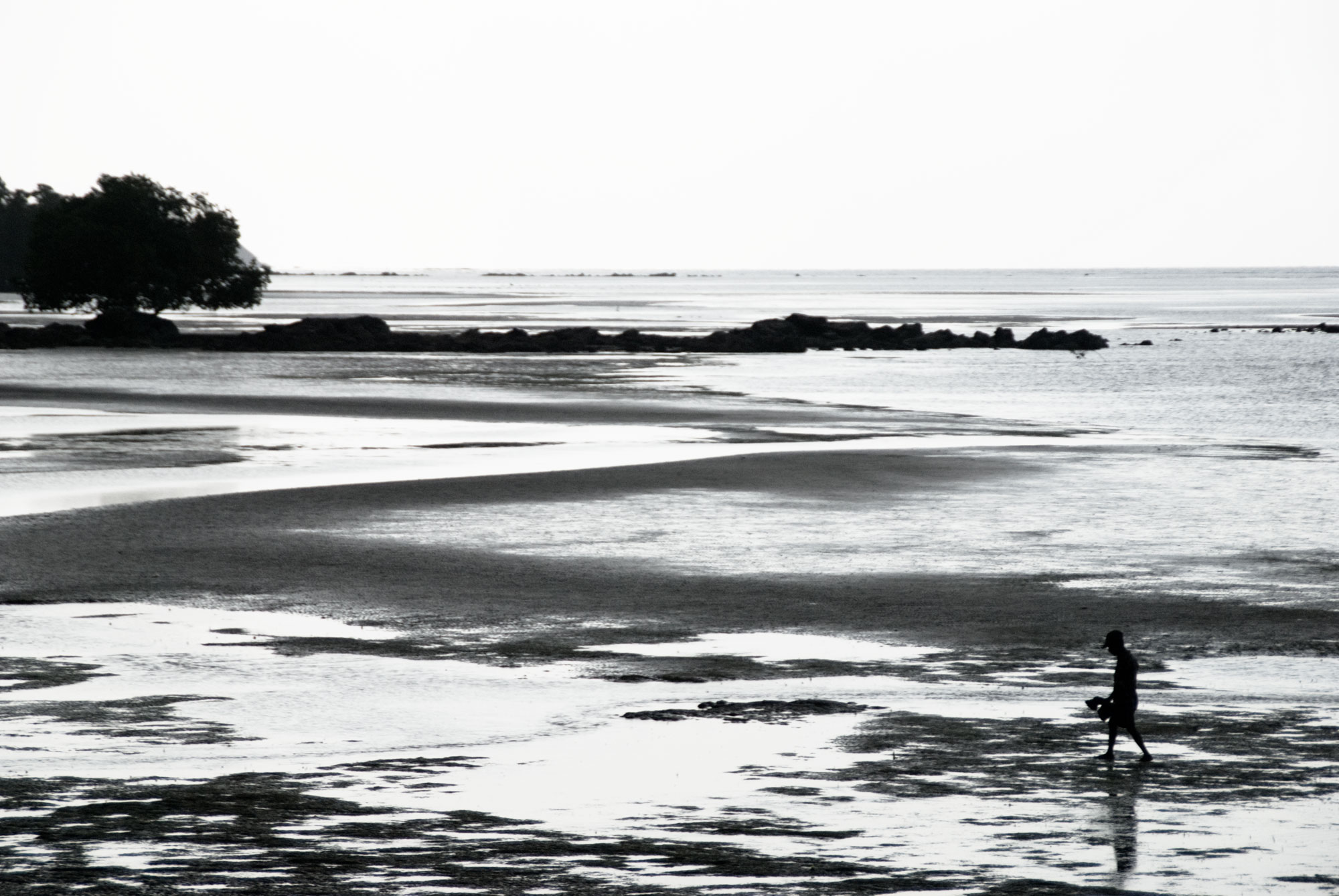 Low Tide (Imagicity 95)