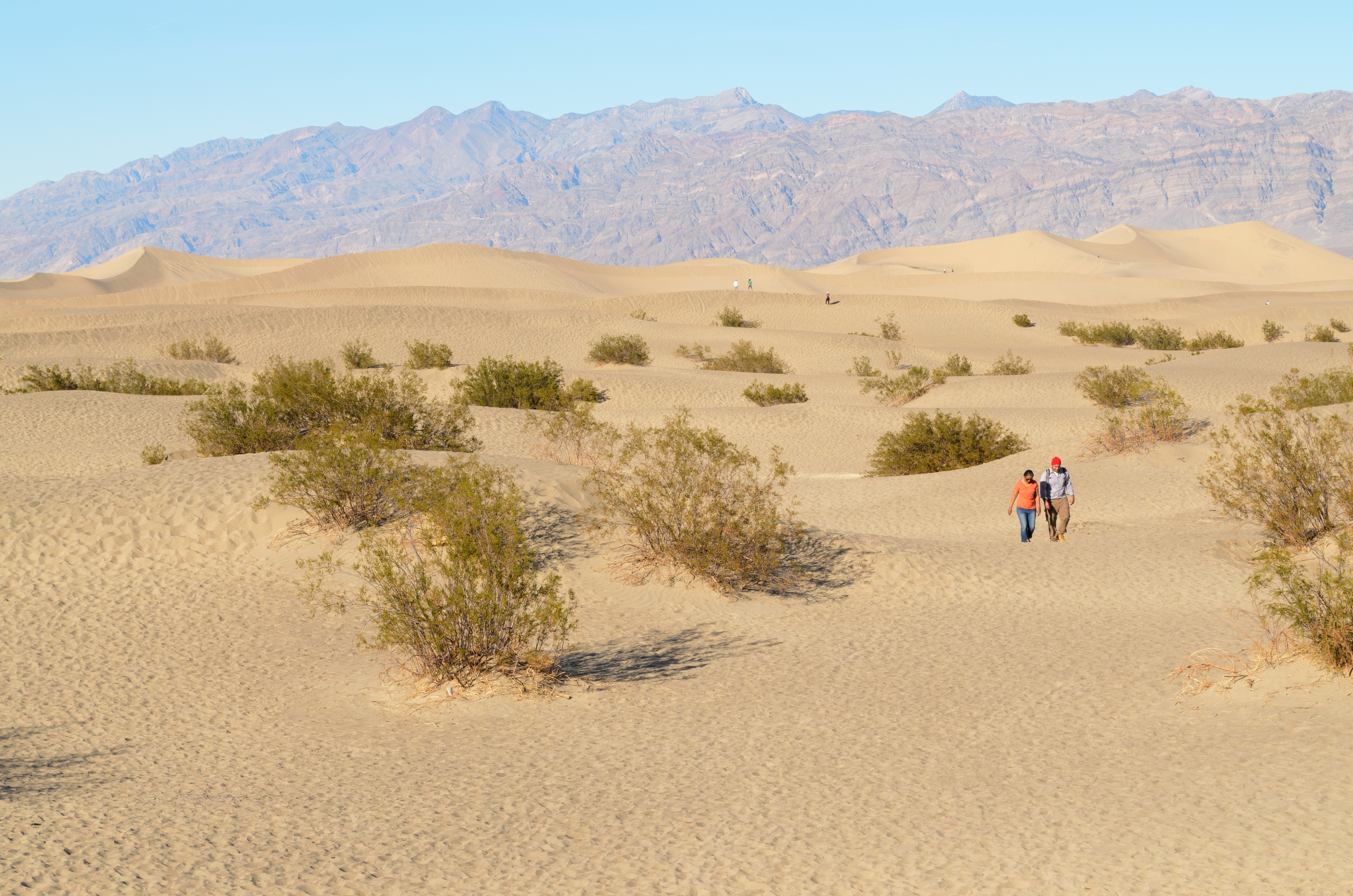 Mesquite Flat Sand Dunes Death Valley December 2013