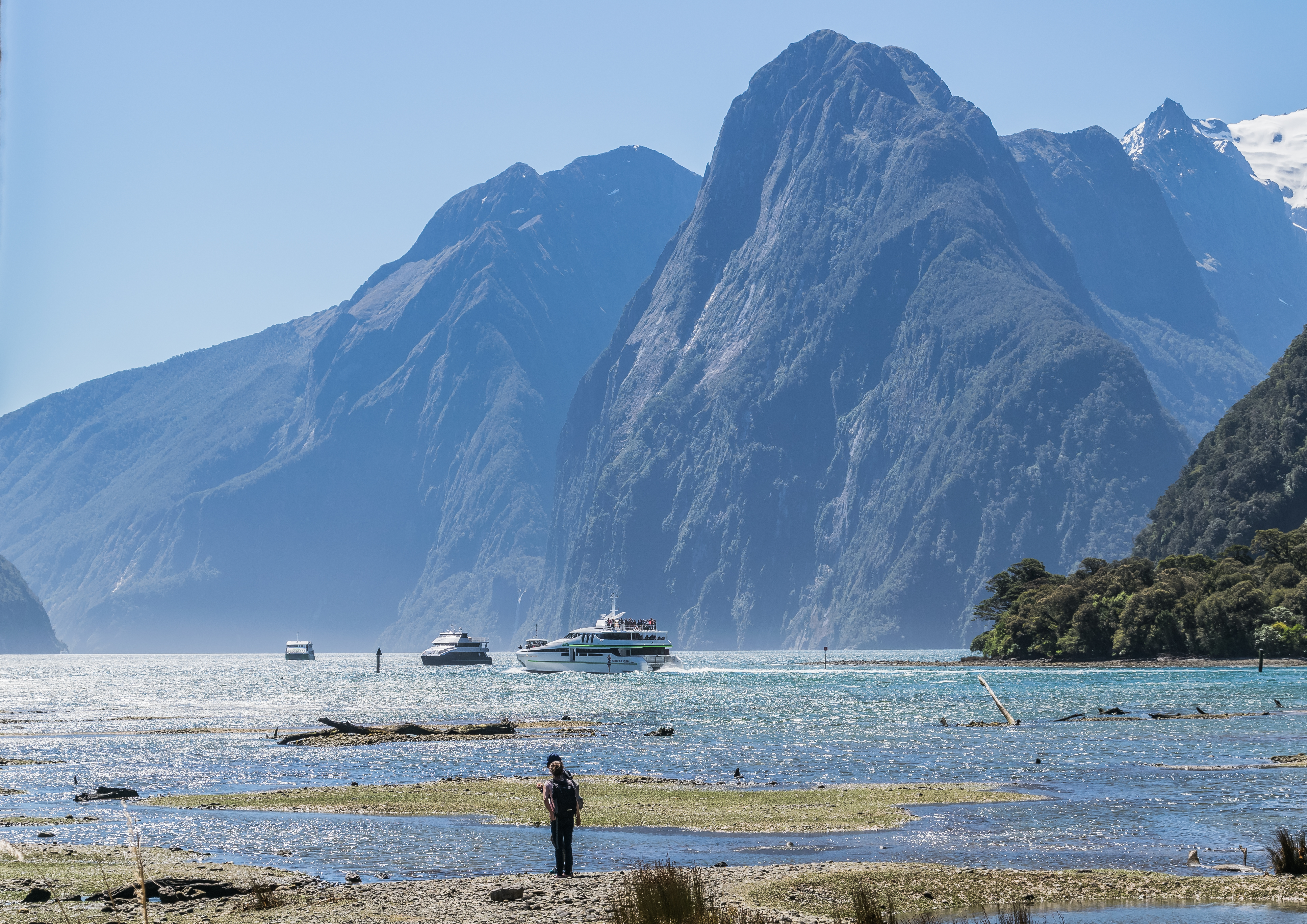 Milford Sound in Fiordland National Park 17
