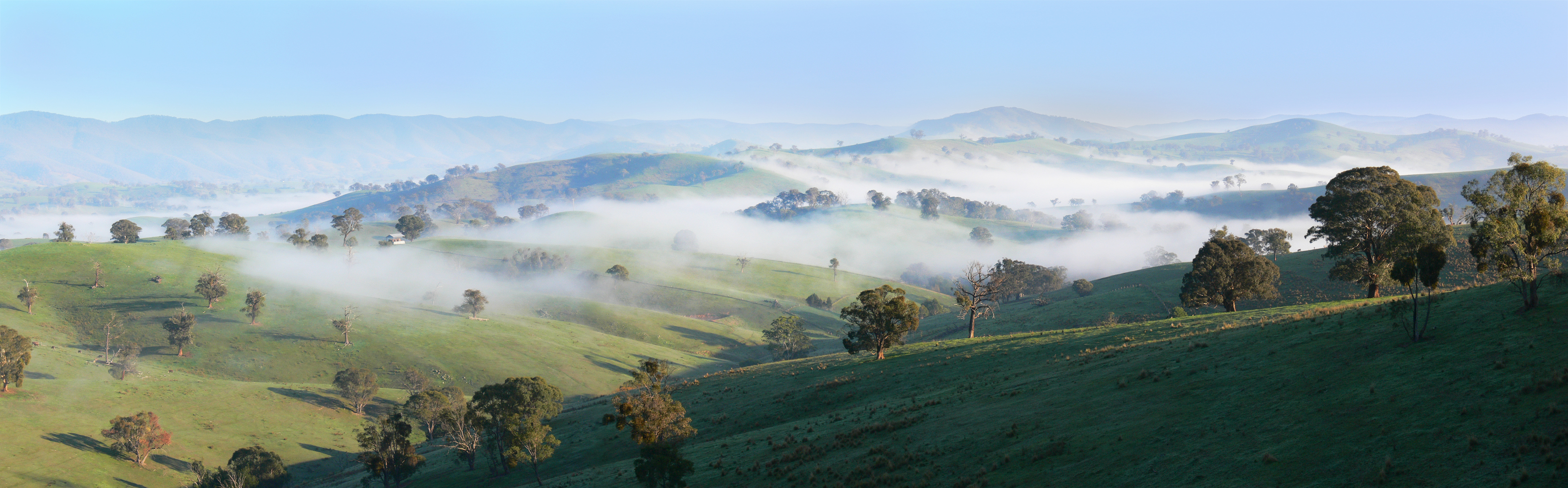 Mist - Ensay region3