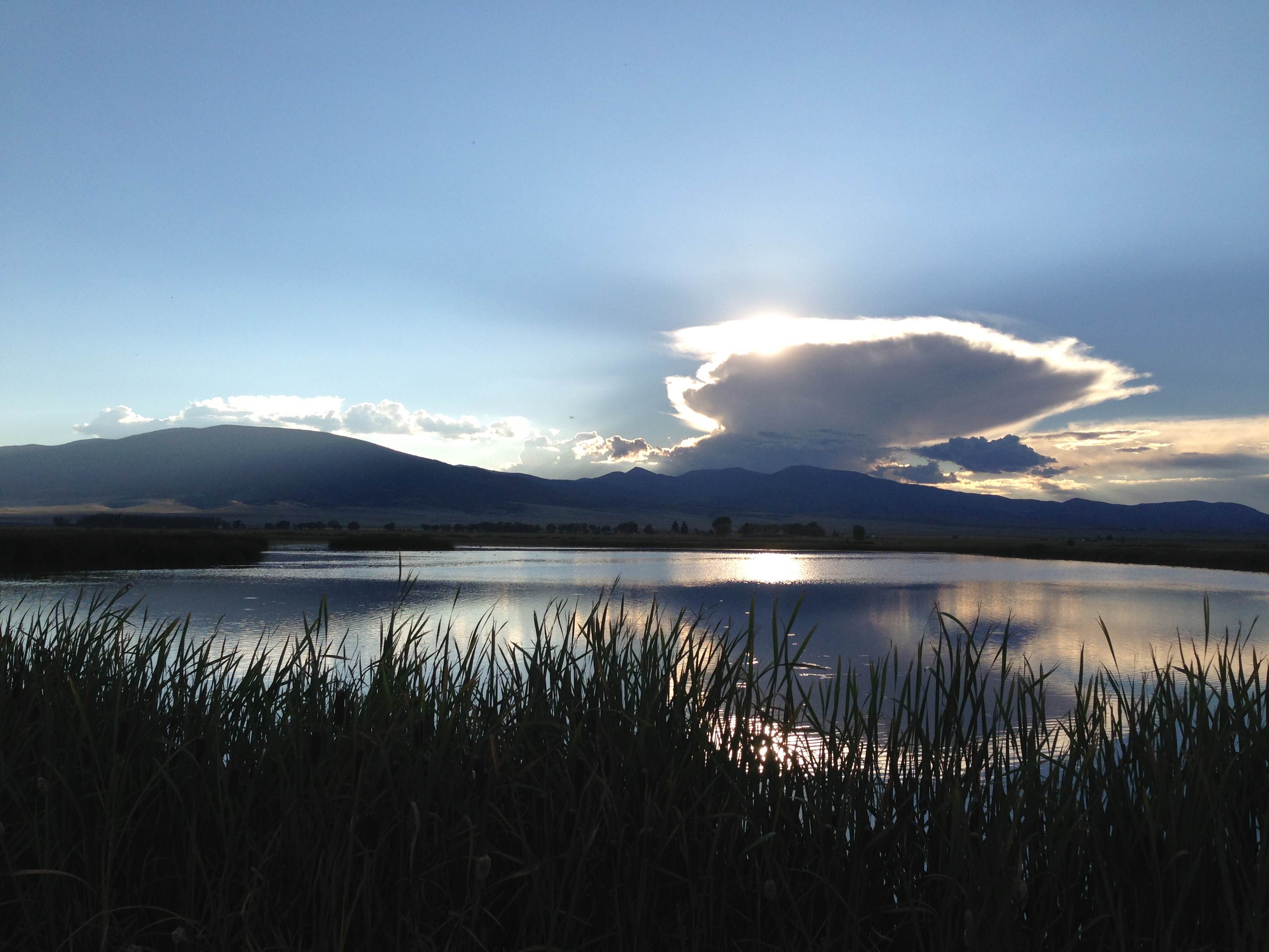 Monte Vista National Wildlife Refuge (10599669185)