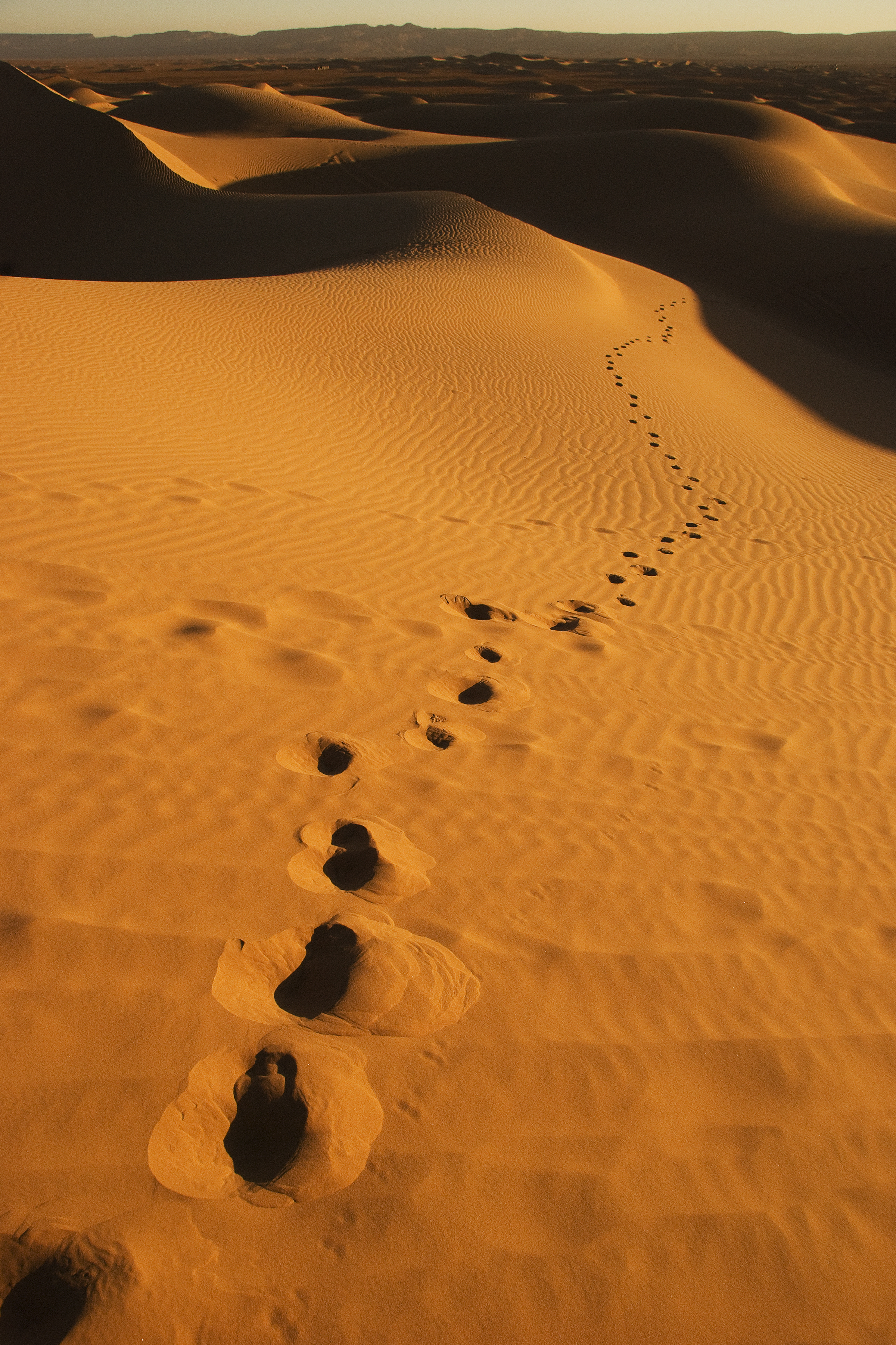 Morning at Erg Lehoudi (2357837671)