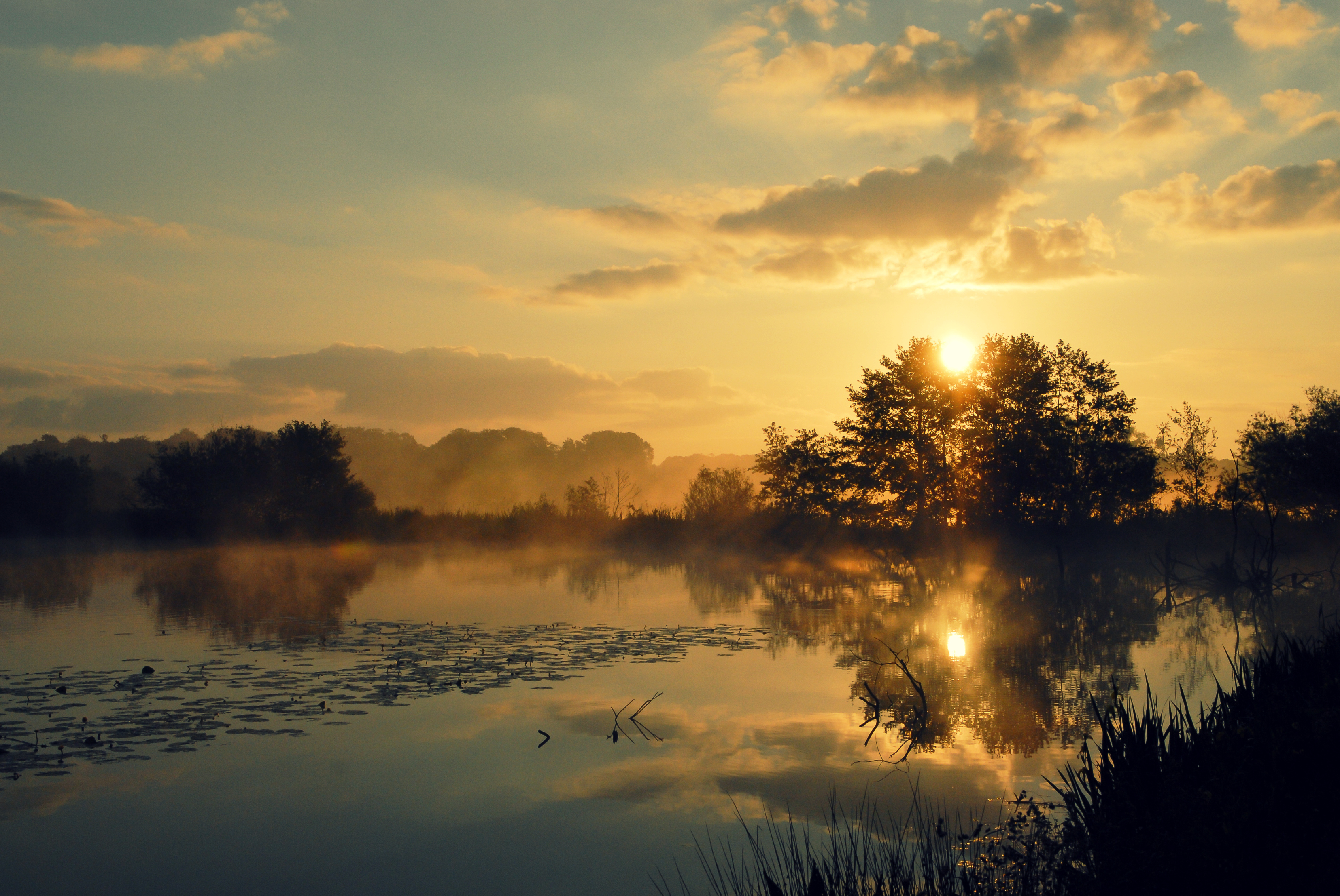 Morning Silence 1