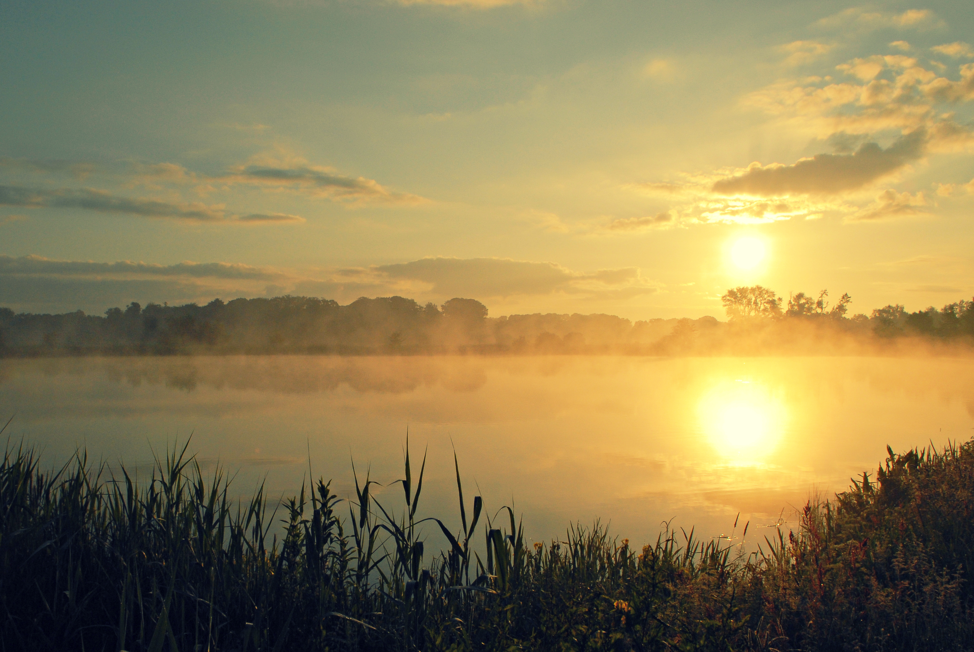 Morning Silence 2