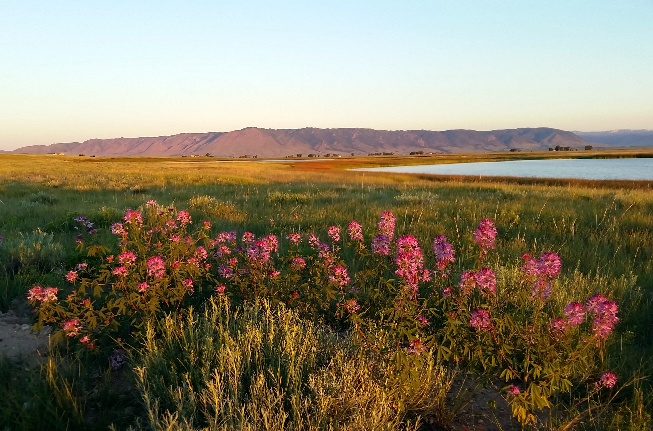Mortenson Lake National Wildlife Refuge (20058171805)