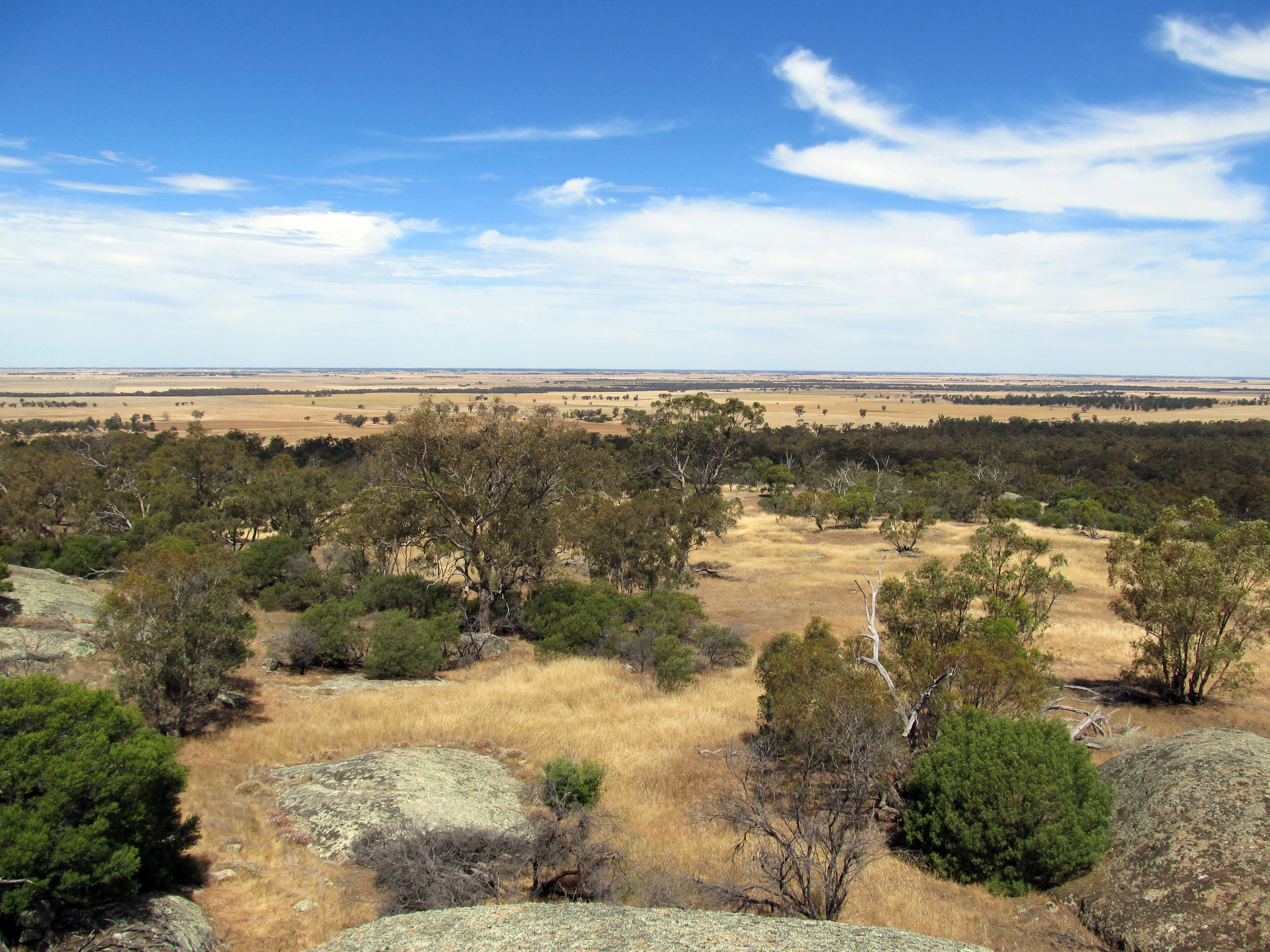 Murray plains, Northern Victoria (8852626570)