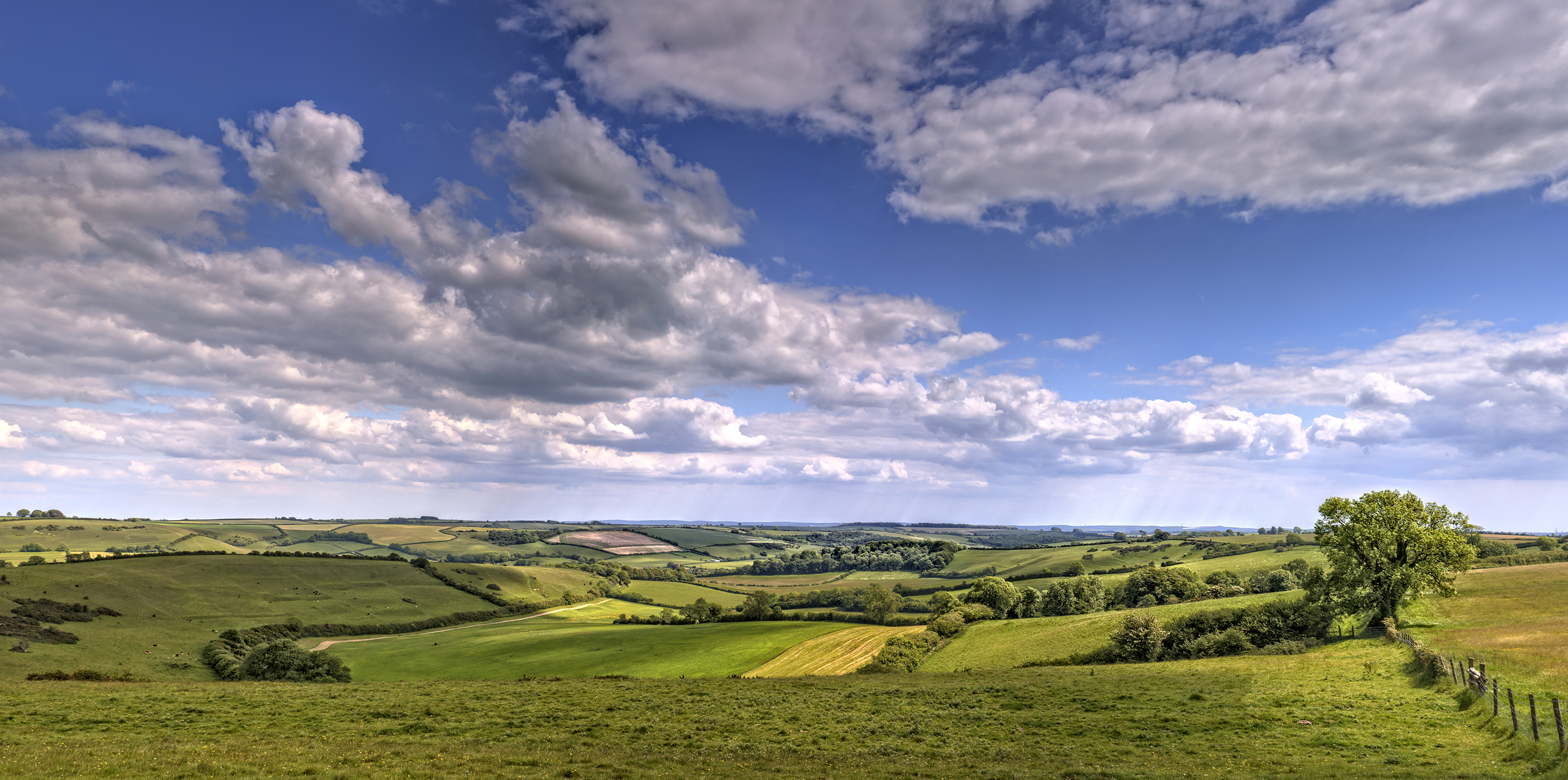 Near Cerne Abbas (18417647749)