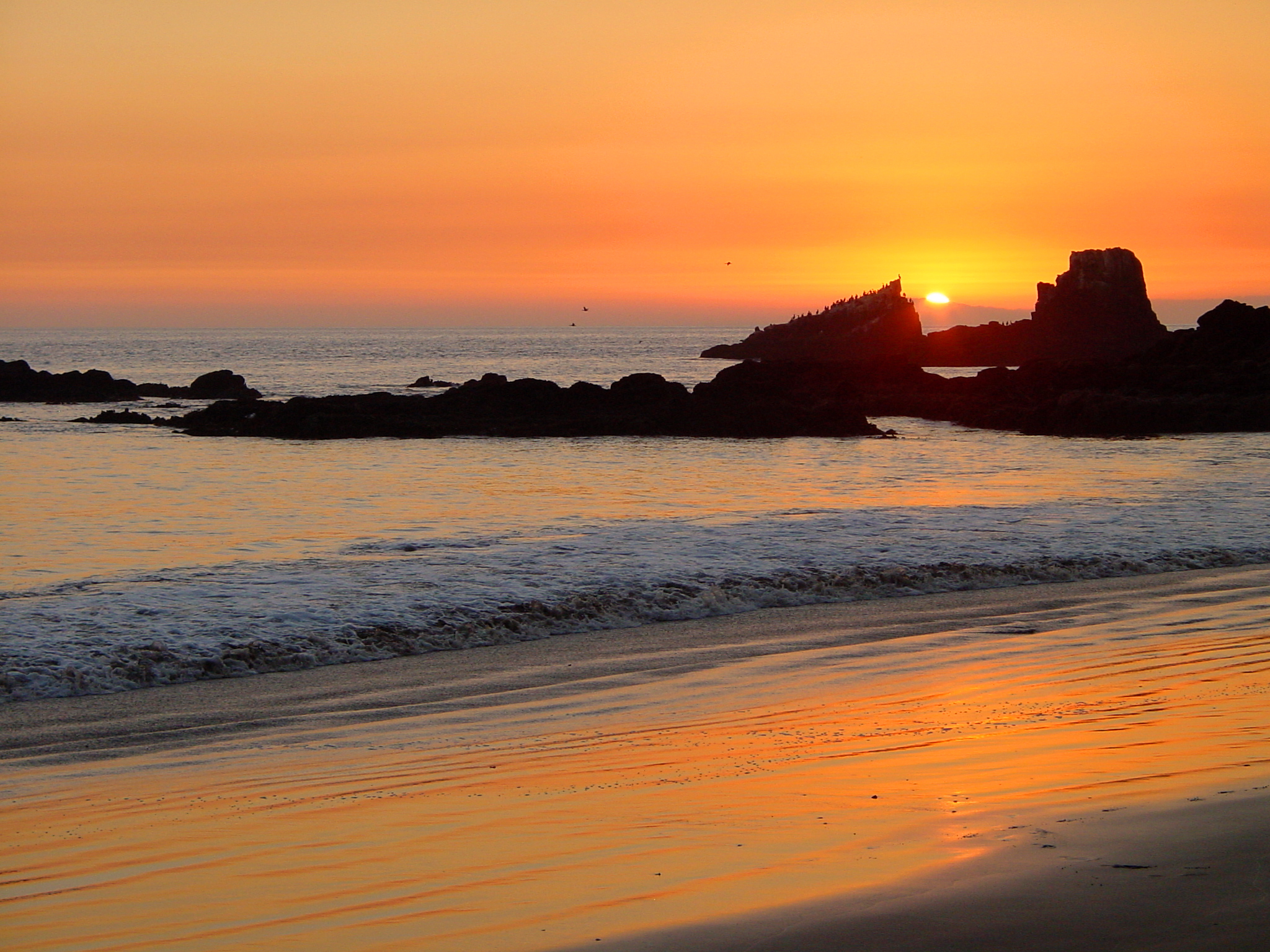 Newport Beach (2425165414)