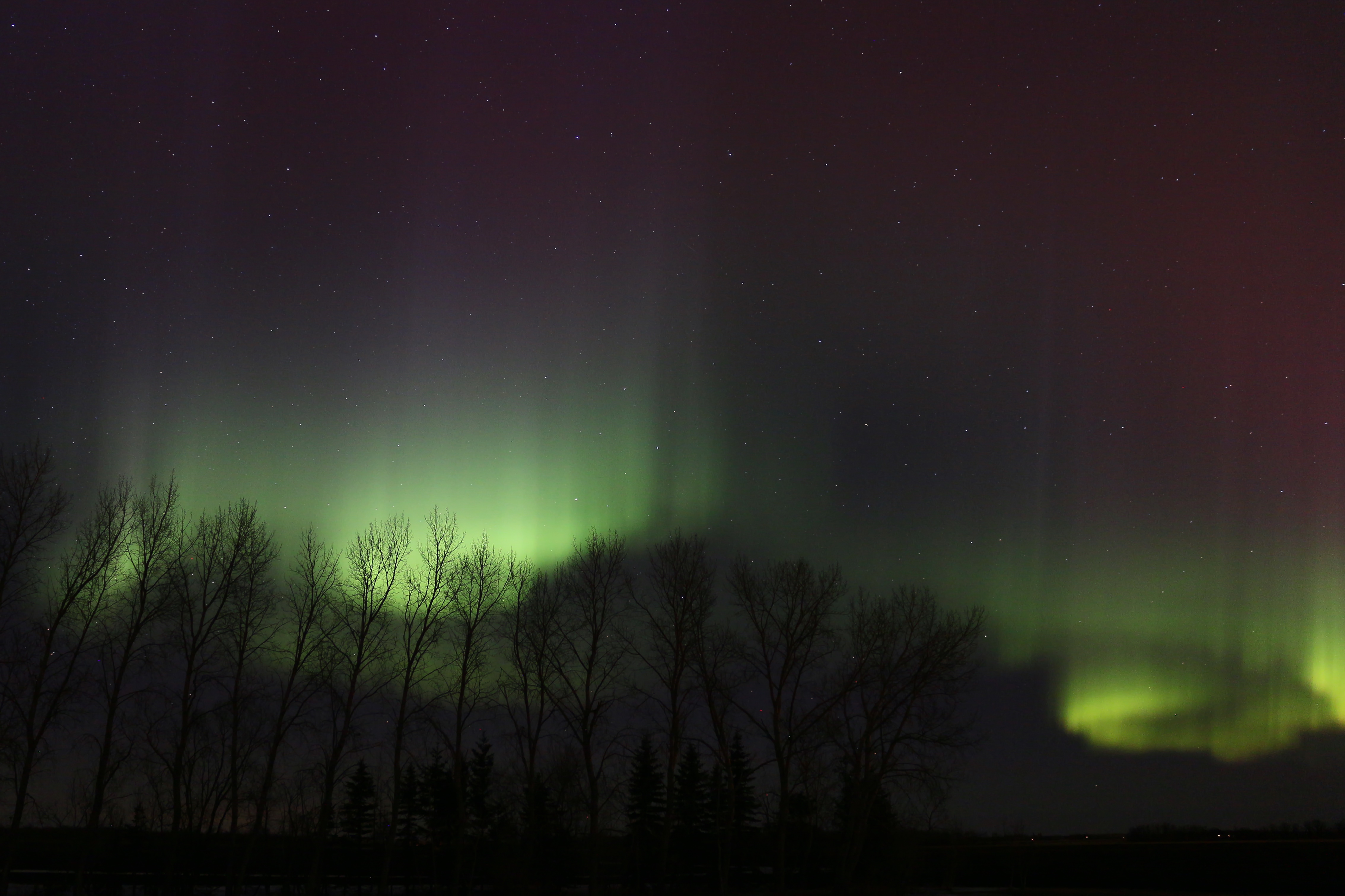 Northern Lights. Taken in St. Andrews, Manitoba (505268) (24974312364)